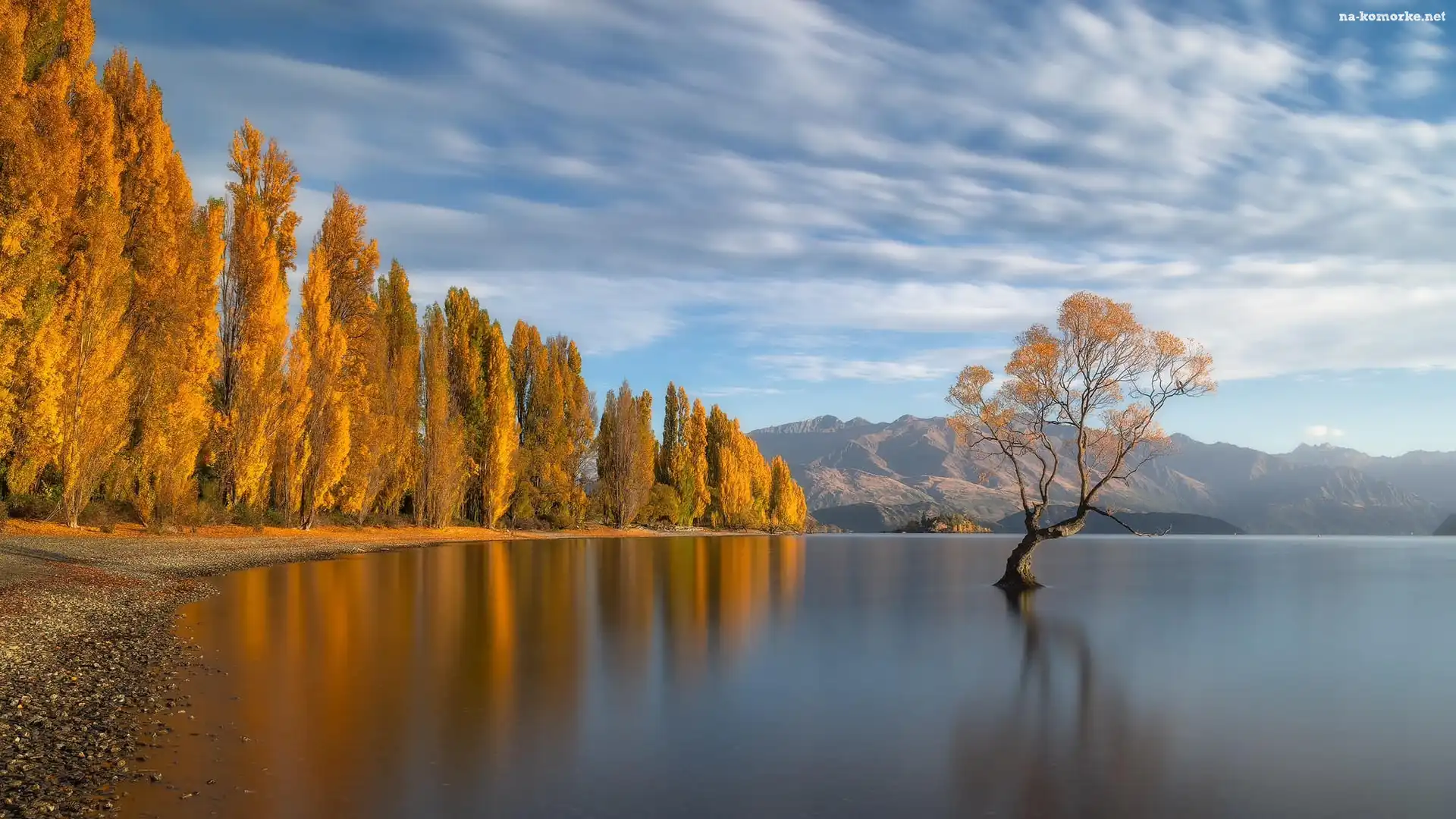 Nowa Zelandia, Wanaka, Drzewa, Jezioro, Jesień
