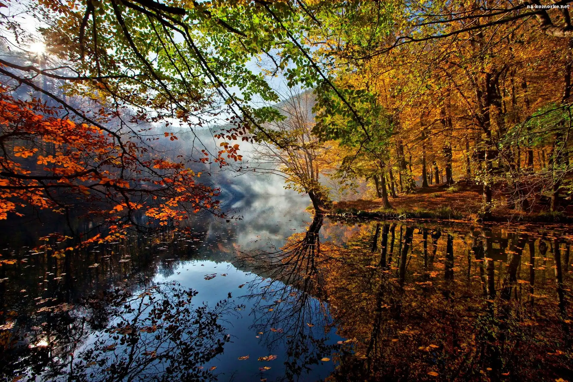 Jezioro, Drzewa, Liście