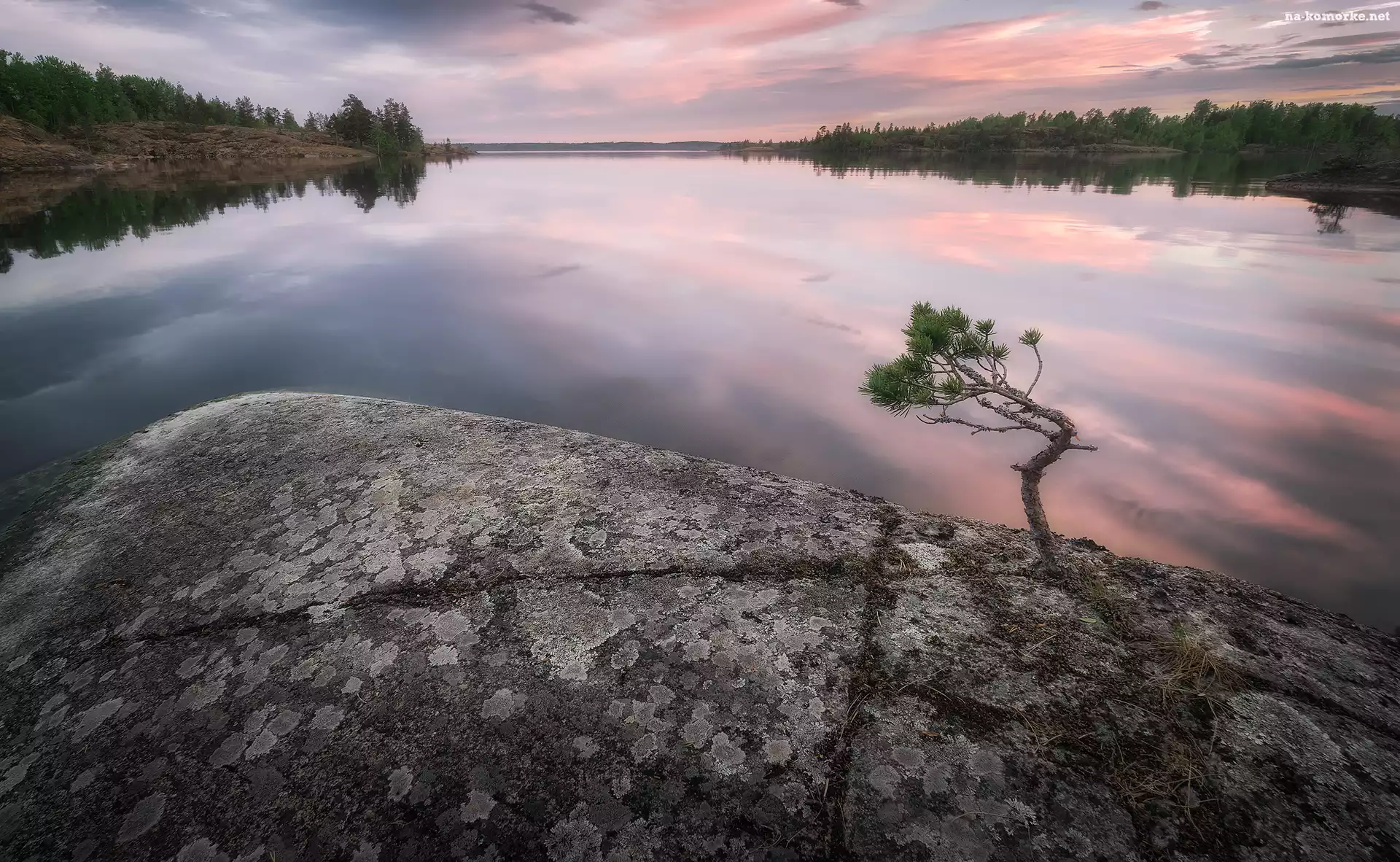 Jezioro, Drzewa, Skała