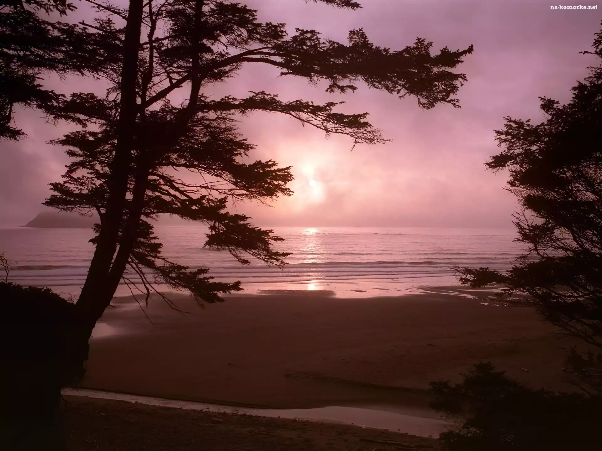 Drzewa, Zachód, Słońca, Jezioro, Plaża