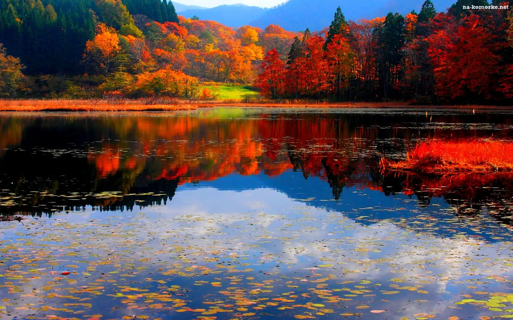 Kolorowe, Drzewa, Jezioro
