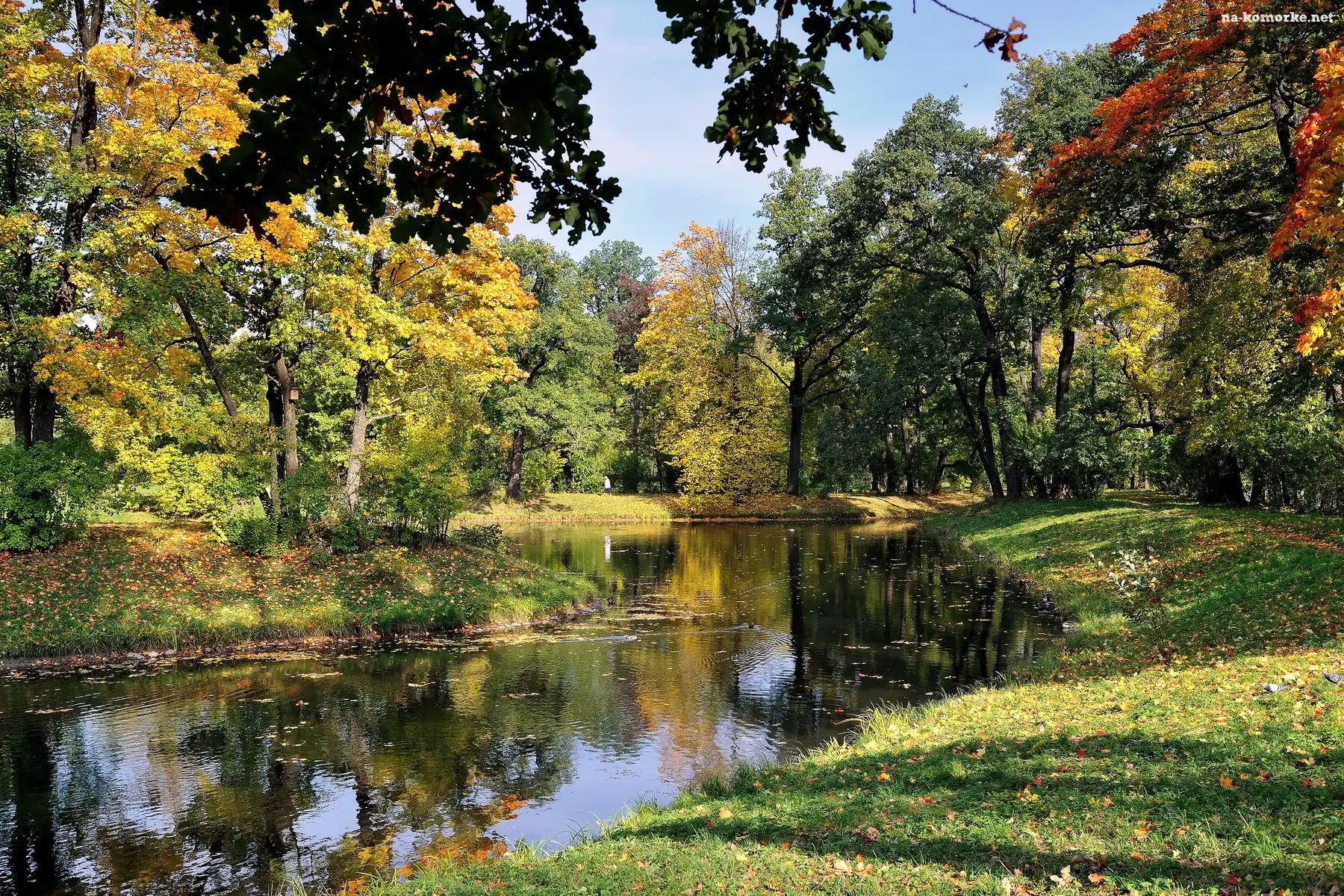 Drzewa, Park, Rzeka, Jesień, Kolorowe, Liście