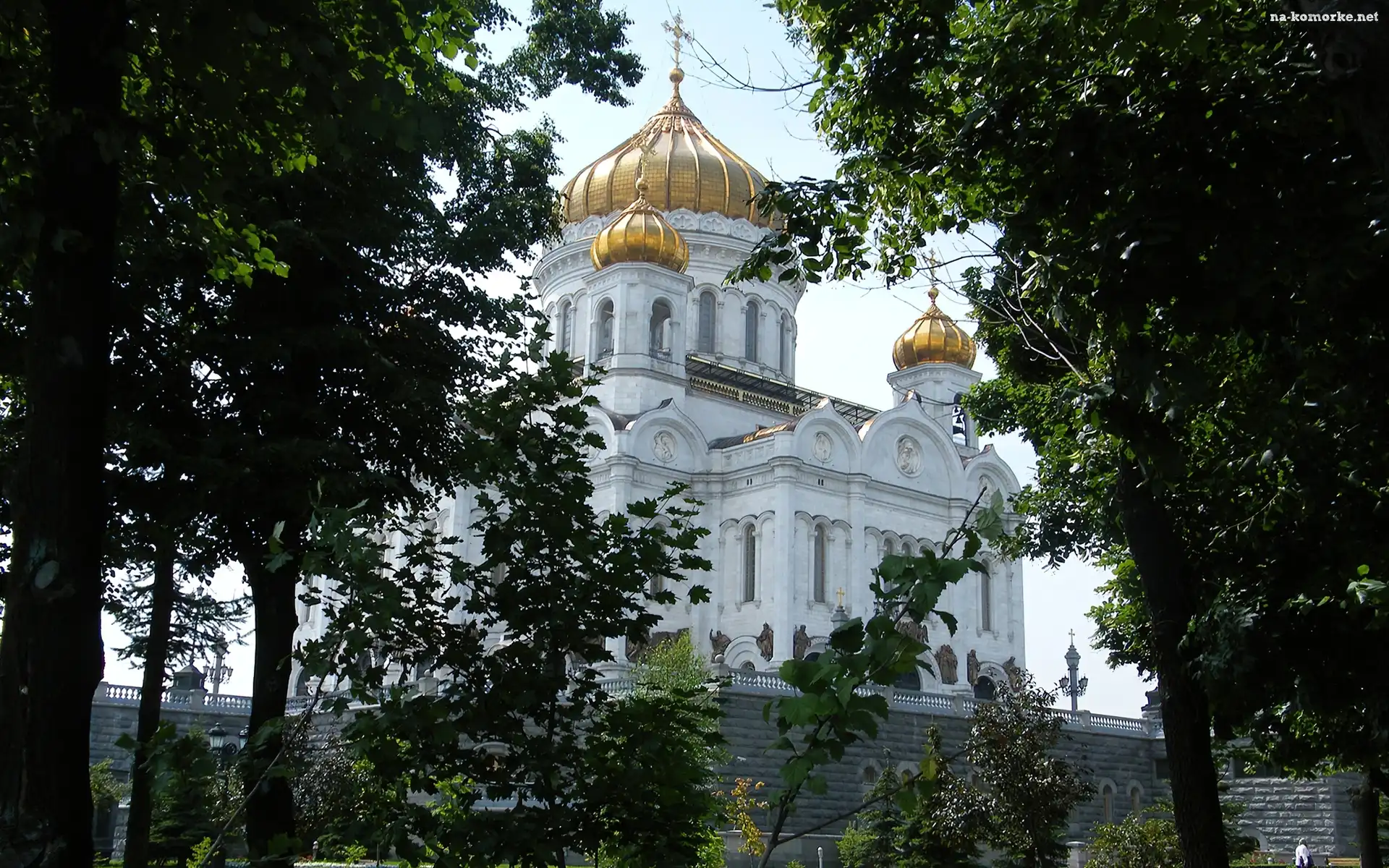 Drzewa, Katedra, Złote, Kopuły, Moskwa