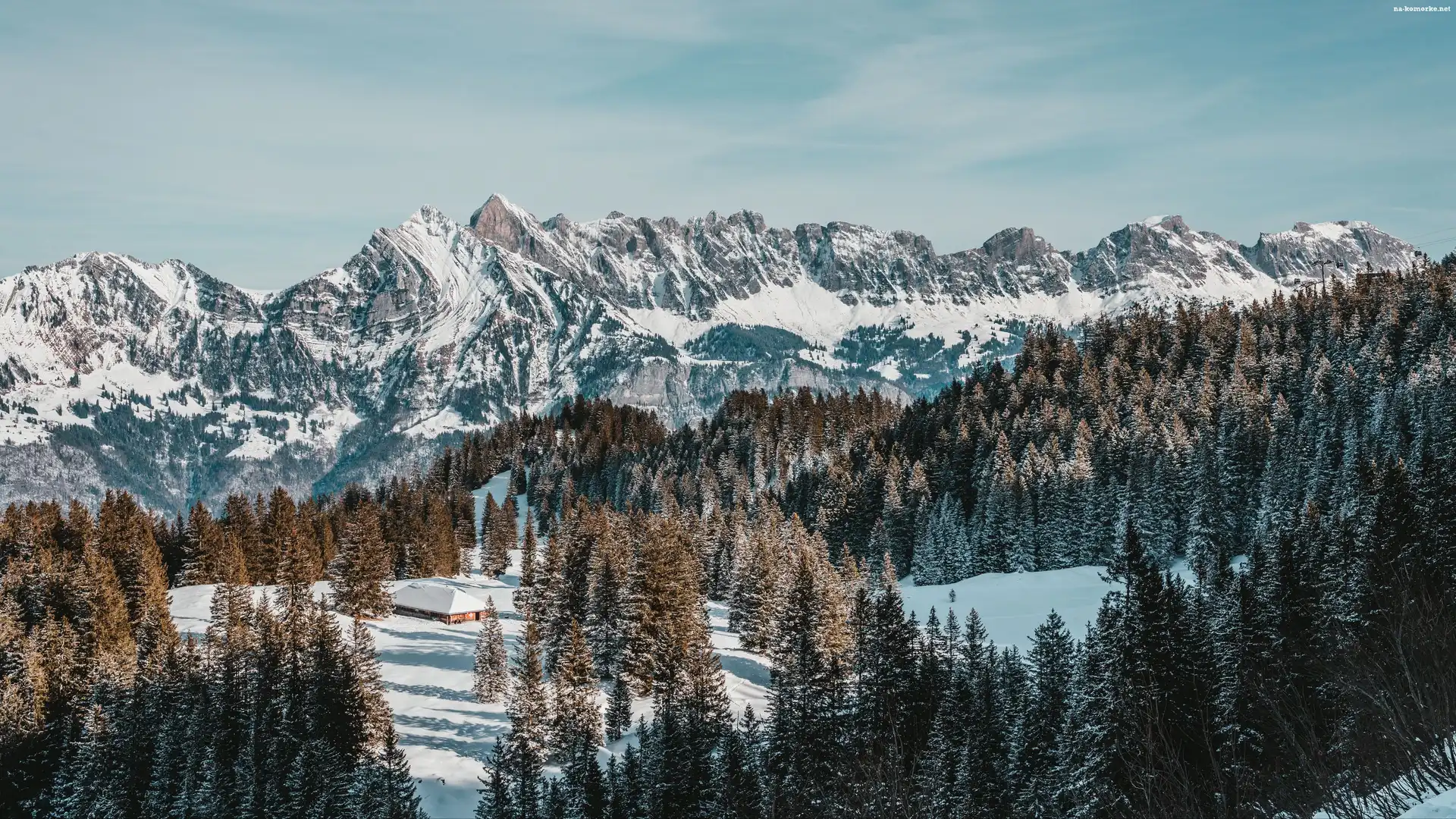Drzewa, Góry, Dom, Zima, Las, Śnieg