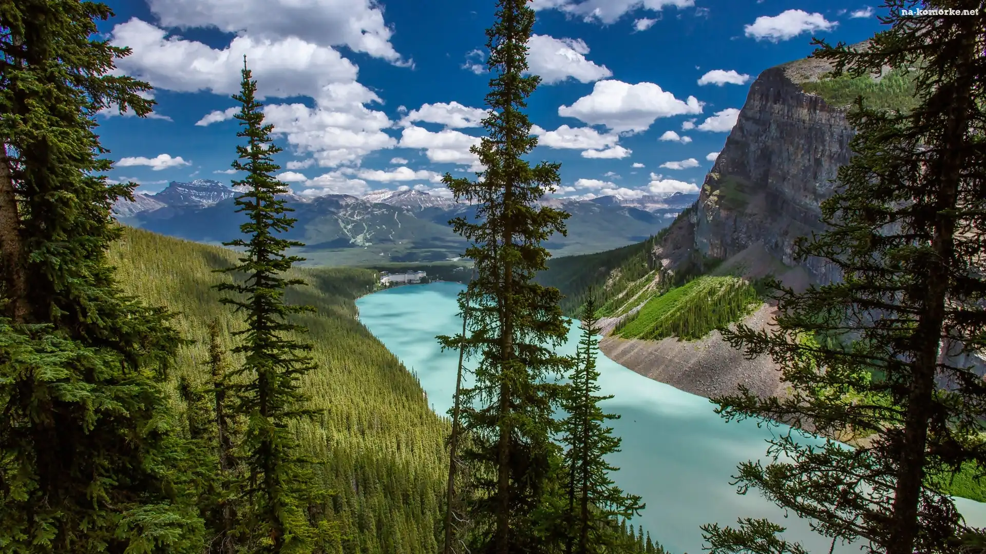 Kanada, Lasy, Drzewa, Park Narodowy Banff, Jezioro Moraine, Góry, Drzewa
