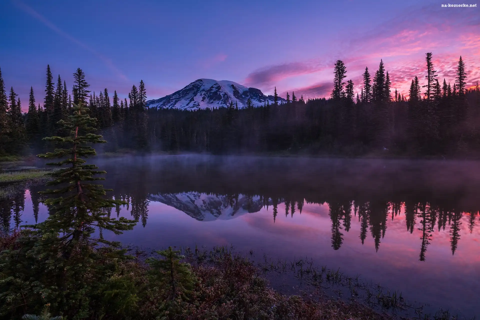 Stan Waszyngton, Las, Jezioro Reflection Lake, Drzewa, Góra, Park Narodowy Mount Rainier, Mgła, Wschód słońca, Szczyt Mount Rainier, Stany Zjednoczone