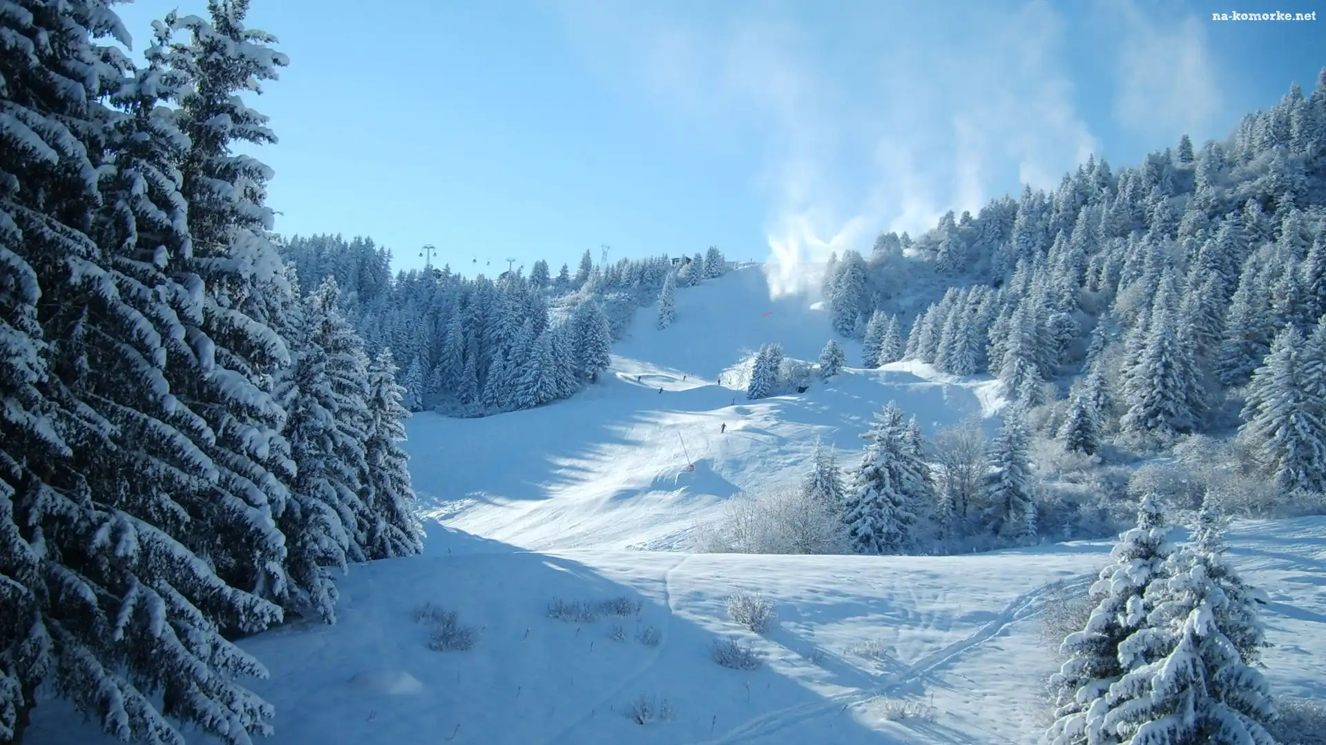 Śnieg, Drzewa, Stok