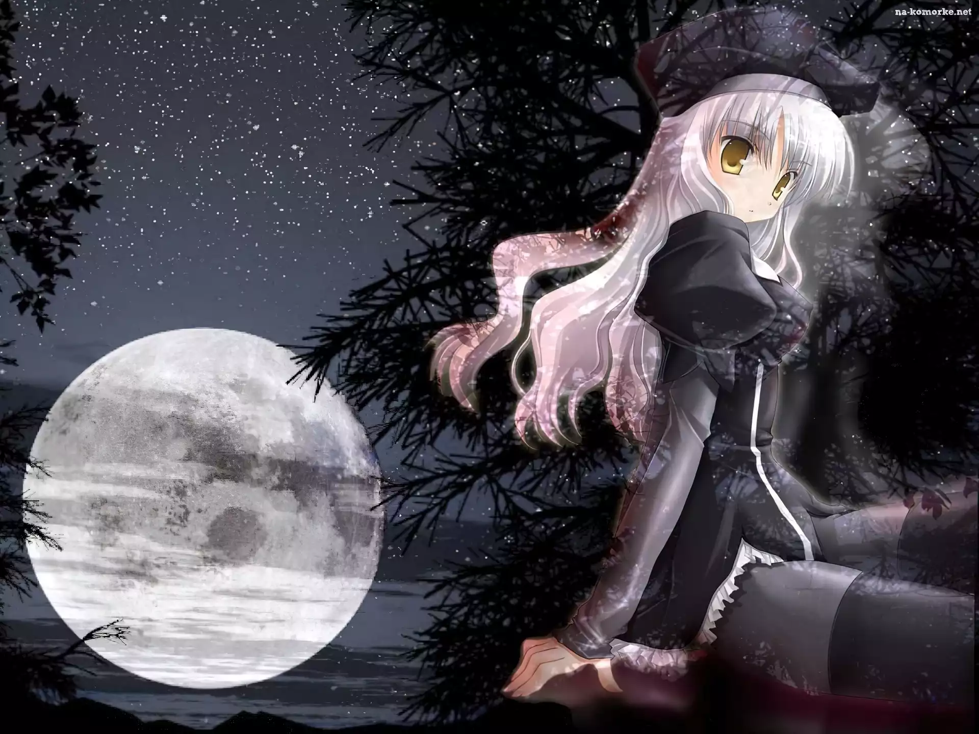 drzewa, księżyc, Fate Stay Night, dziewczyna