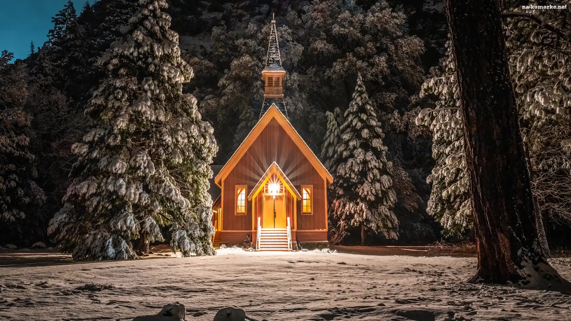 Drzewa, Zima, Kościółek, Oświetlona, Stany Zjednoczone, Las, Stan Kalifornia, Kaplica, Park Narodowy Yosemite