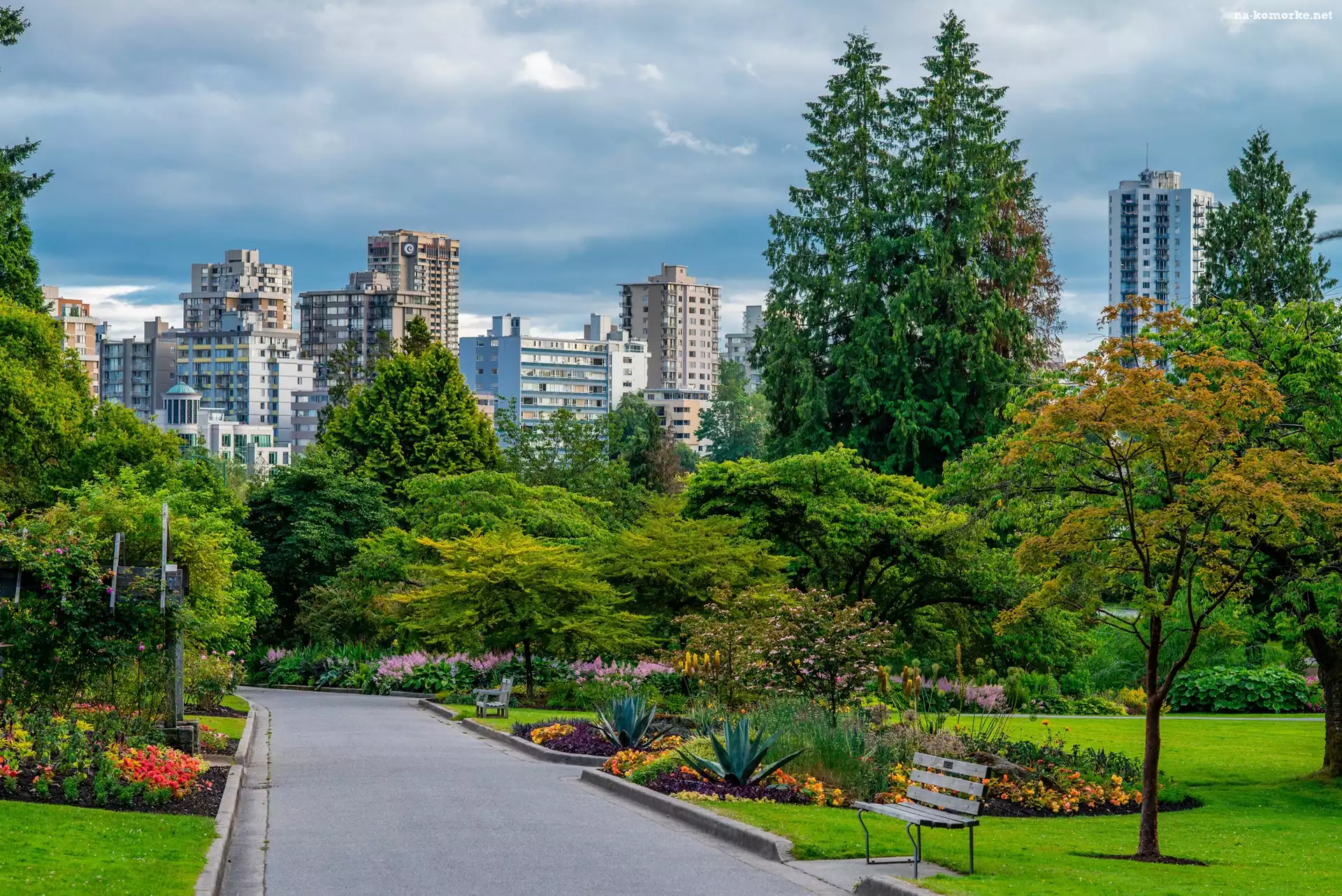 Kanada, Ławka, Park, Domy, Vancouver, Stanley Park, Alejki, Drzewa