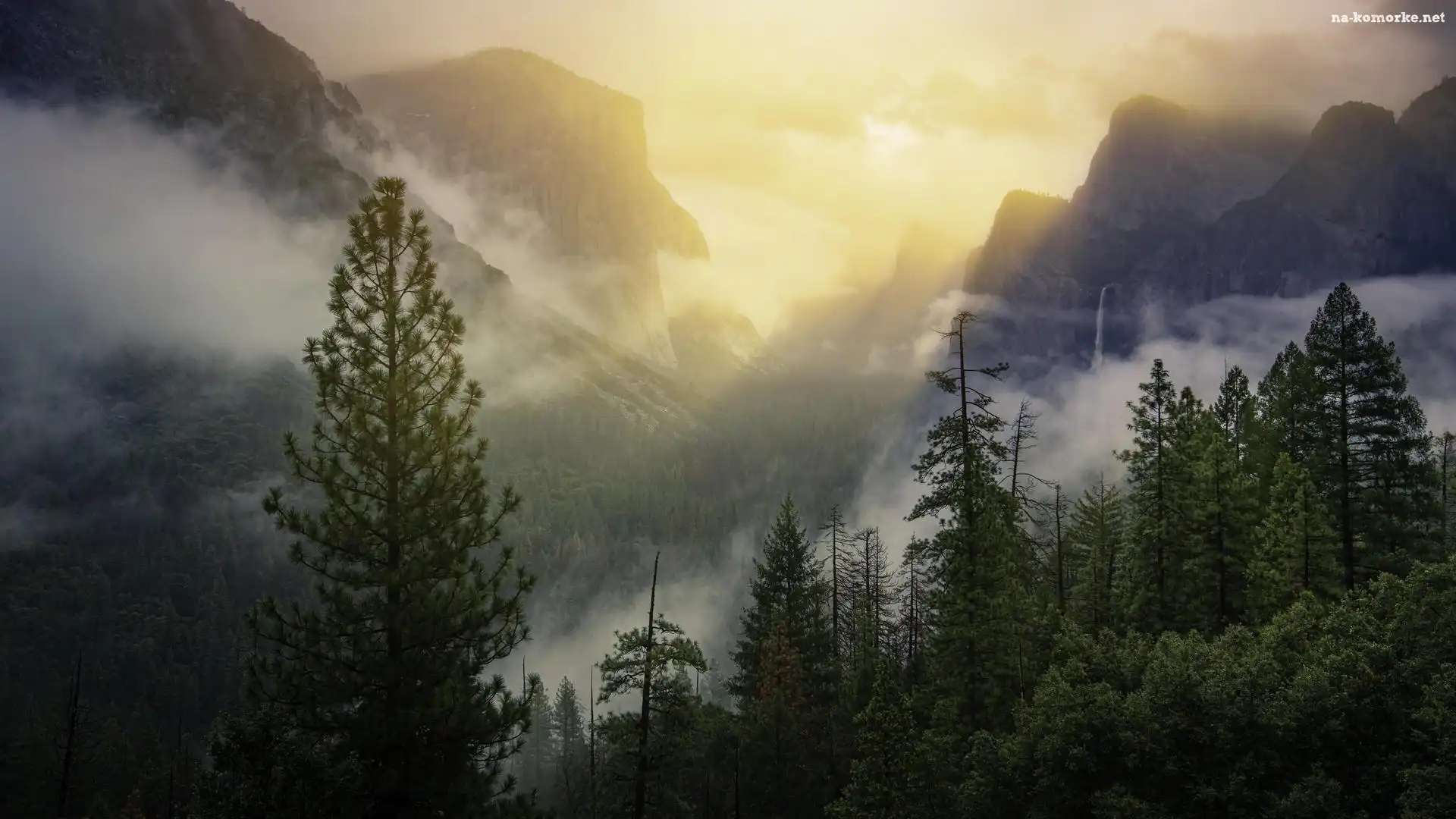 Park Narodowy Yosemite, Dolina, Drzewa, Mgła, Stany Zjednoczone, Yosemite Valley, Stan Kalifornia, Góry, Lasy