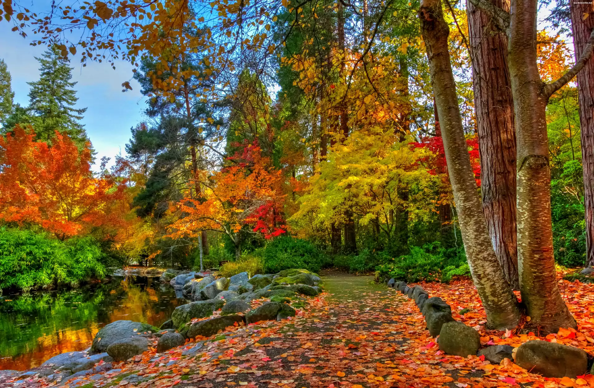 Park, Drzewa, Liście, Alejka, Jesień, Staw, Kamienie