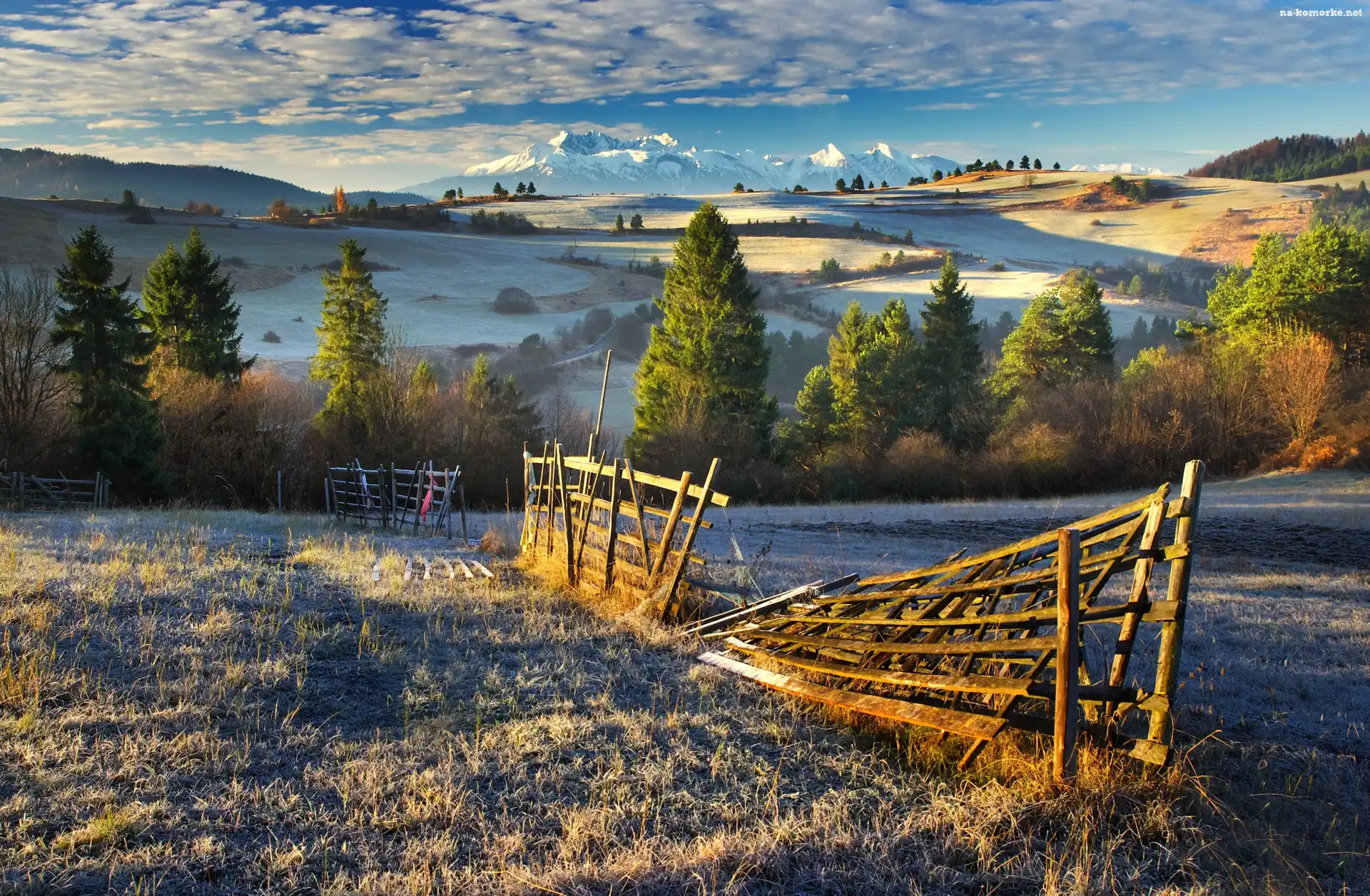 Polska, Drzewa, Przymrozek, Góry Tatry, Wzgórza, Pola, Płot