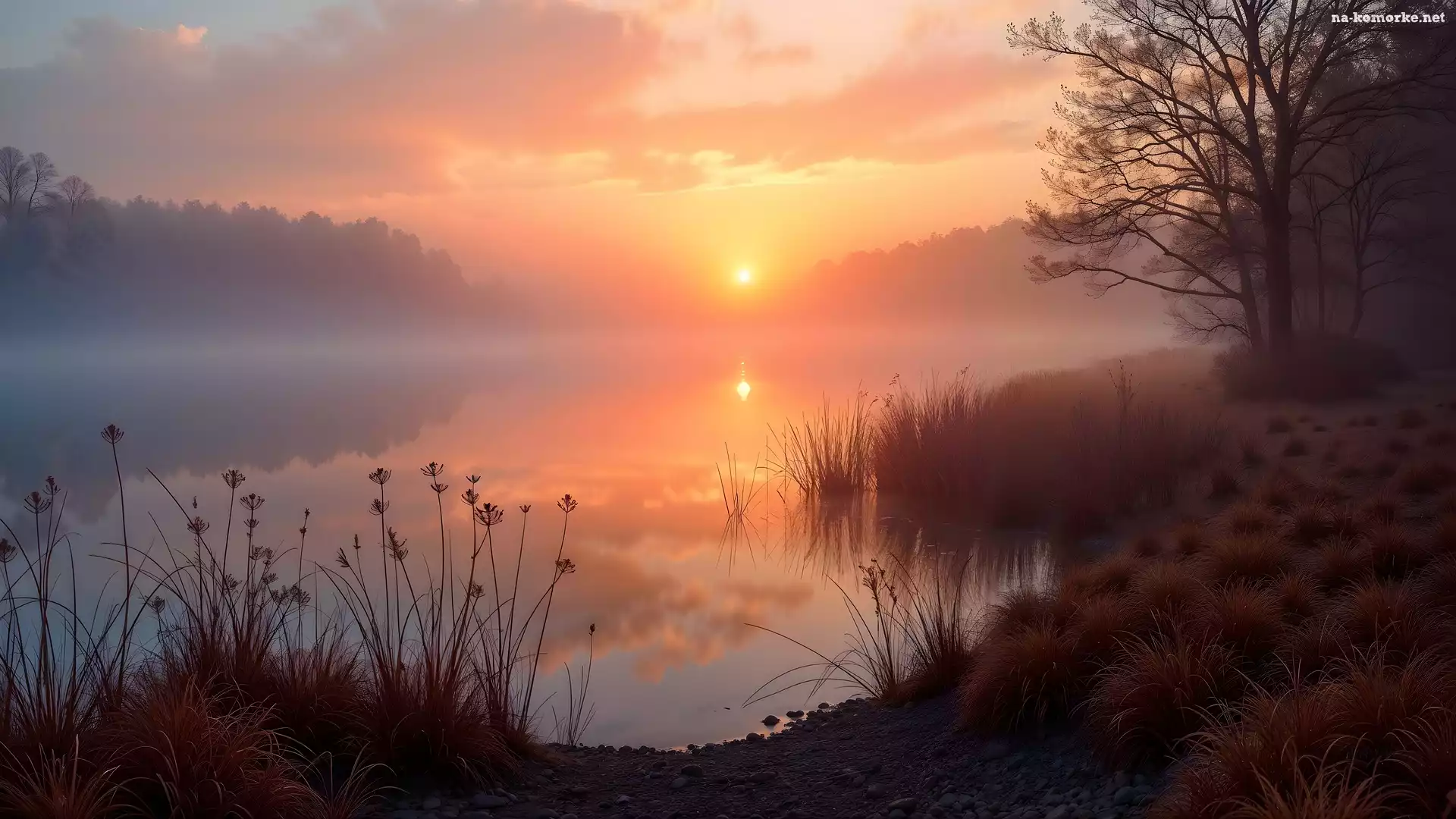 Wschód słońca, Mgła, Drzewa, Jezioro, Rośliny