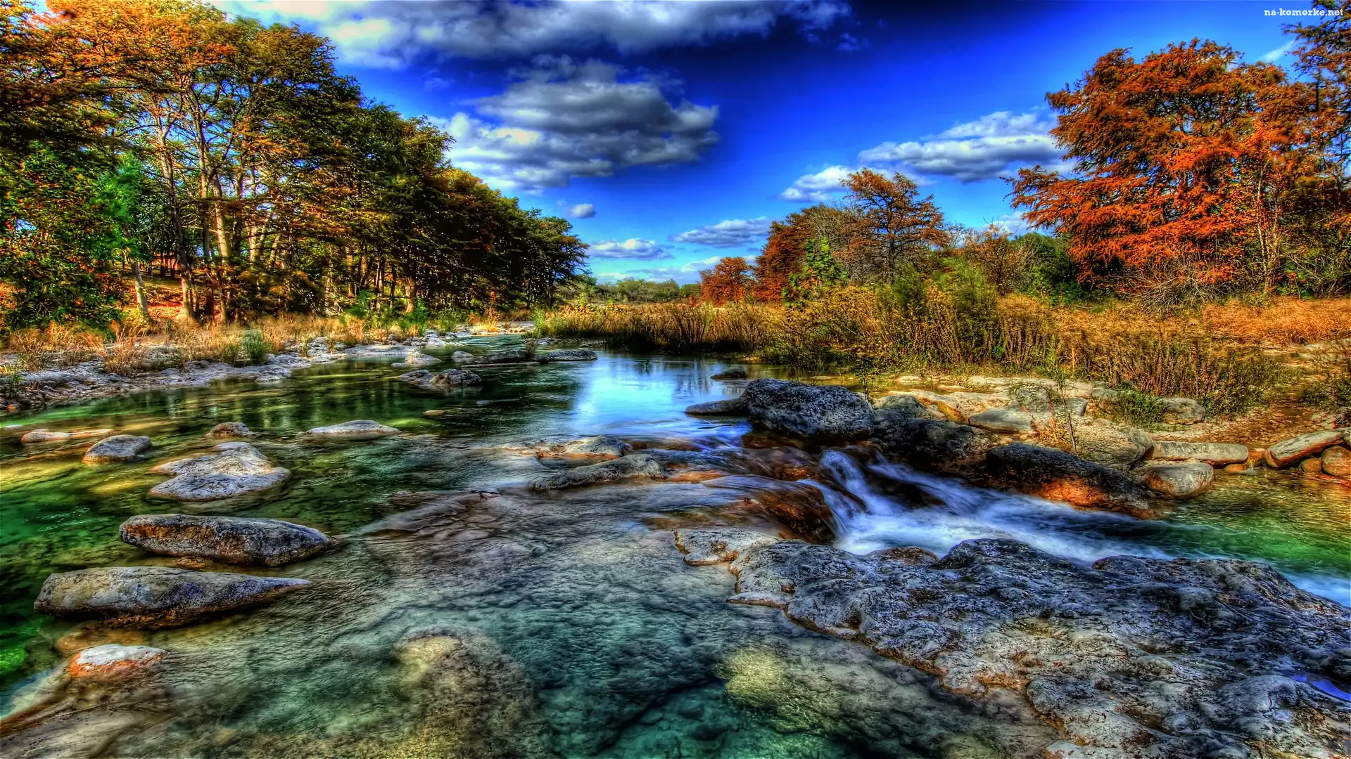 Rzeka, Drzewa, HDR