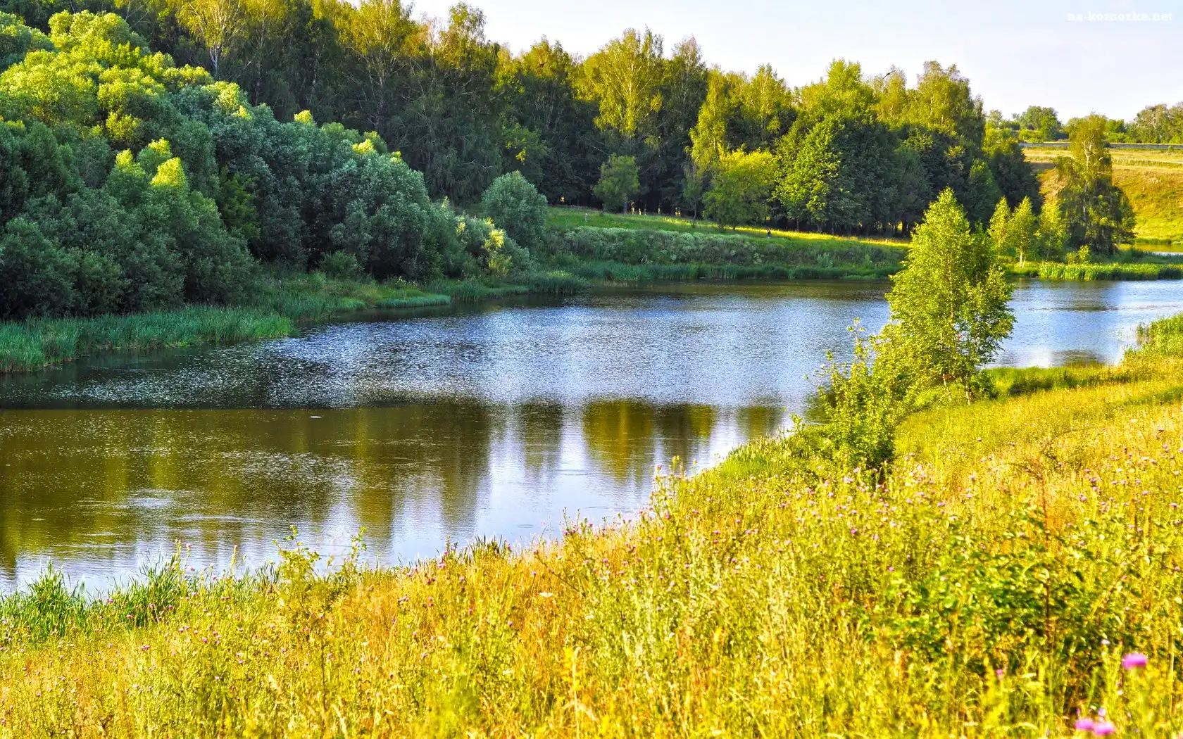Rzeka, Drzewa, Jesień
