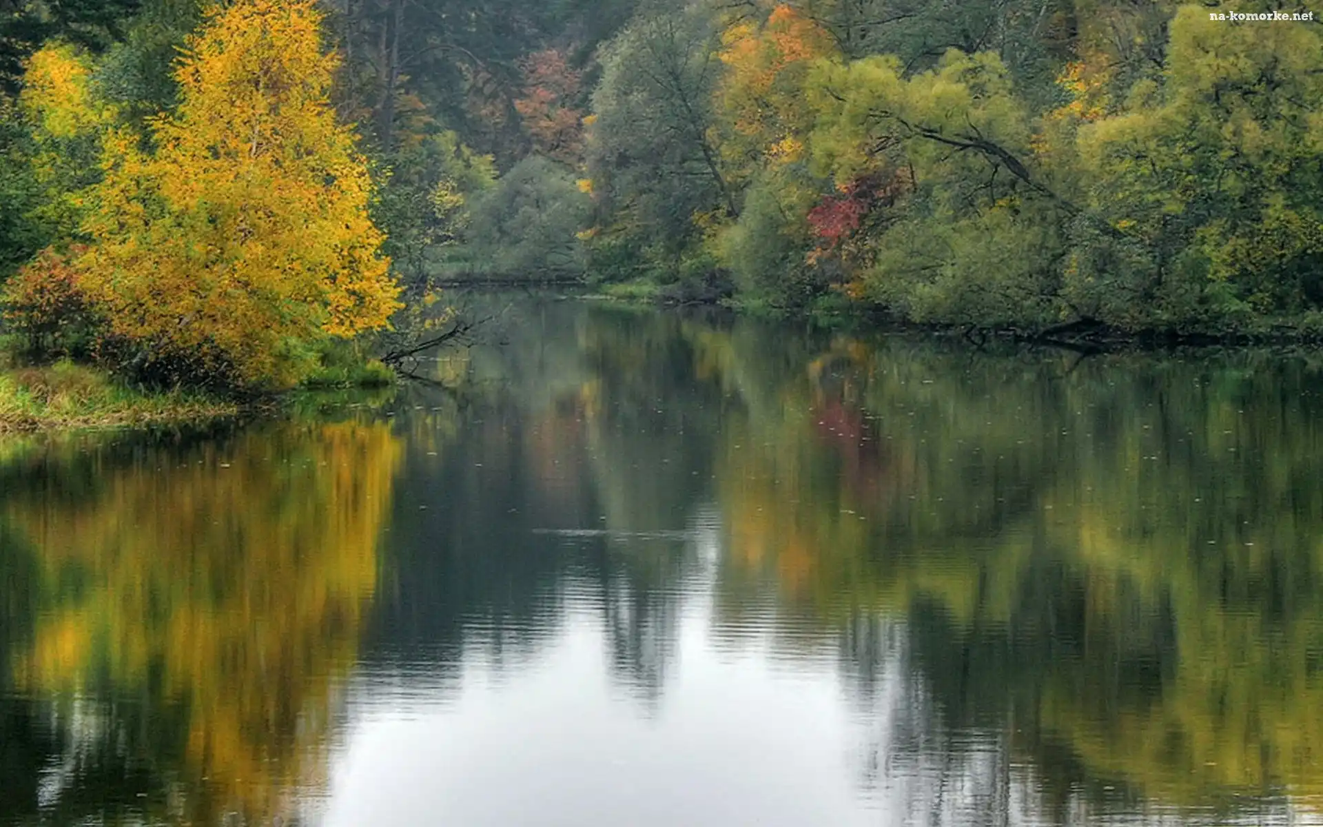 Rzeka, Drzewa, Jesień