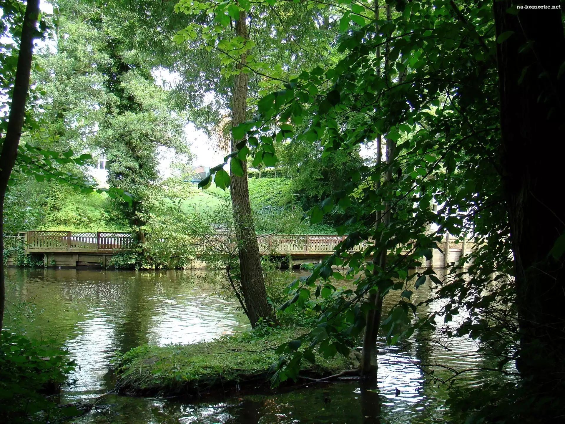 Rzeka, Drzewa, Mostek