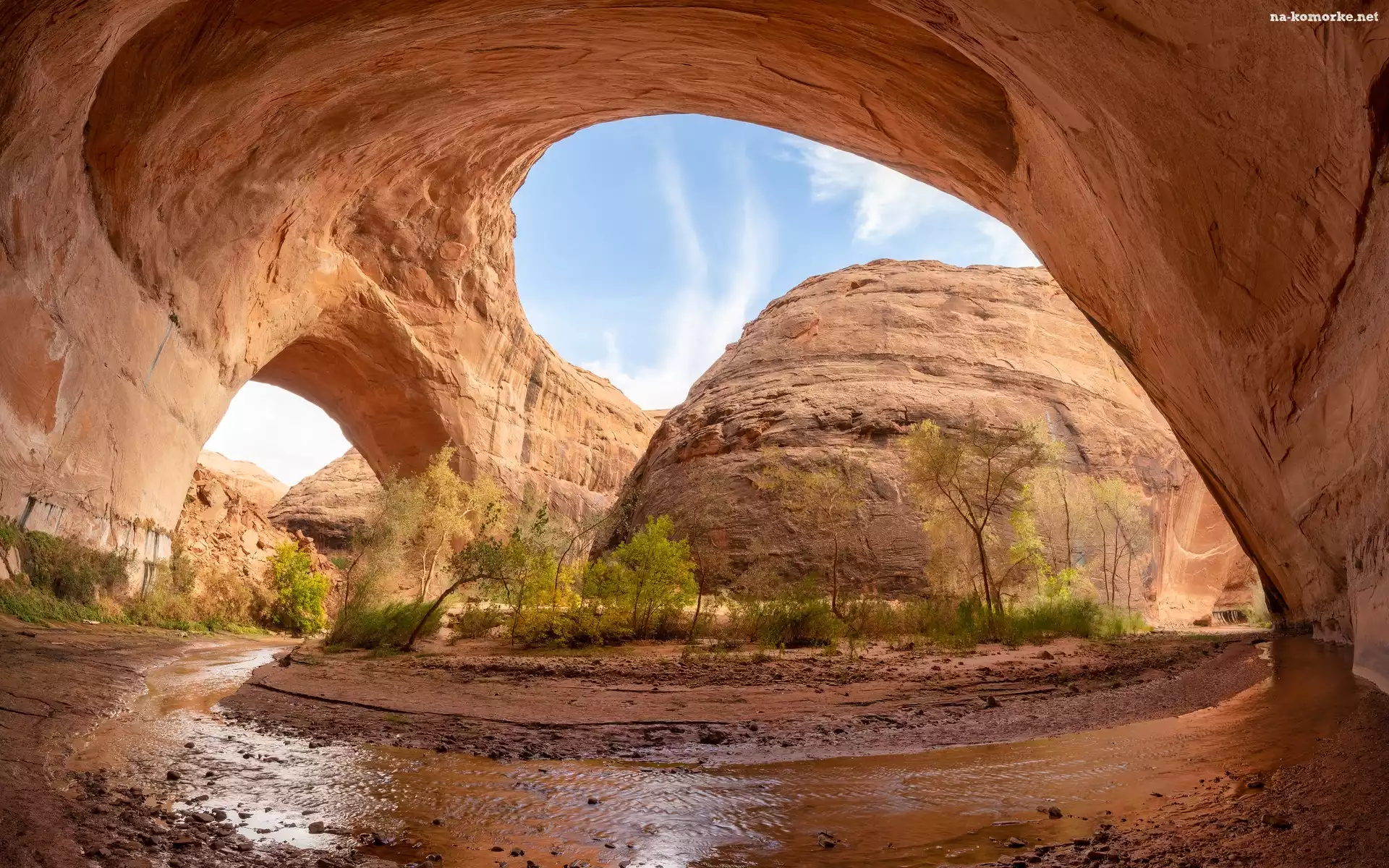 Coyote Gulch, Utah, Skały, Stany Zjednoczone, Drzewa, Rzeka, Łuk Jacoba Hamblina