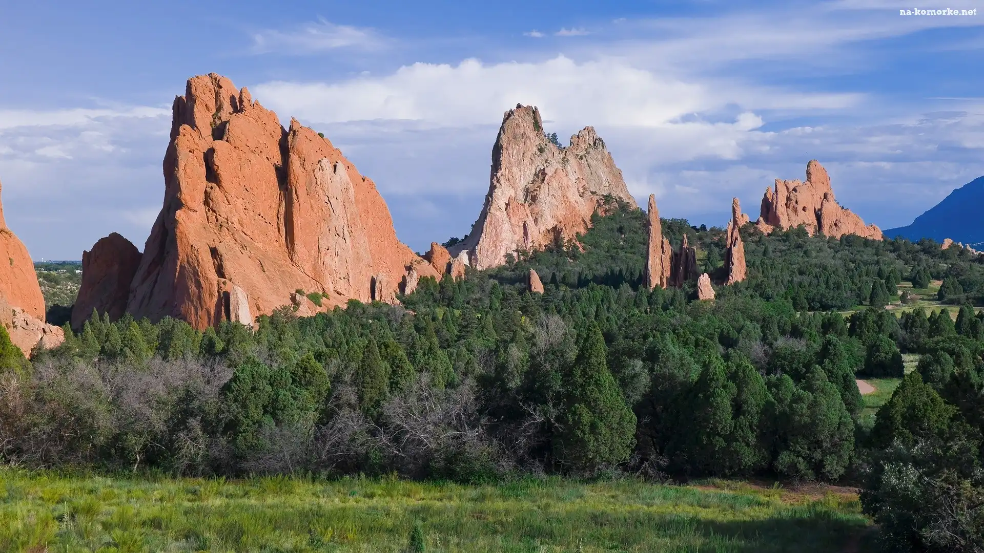 Skały, Drzewa, Colorado