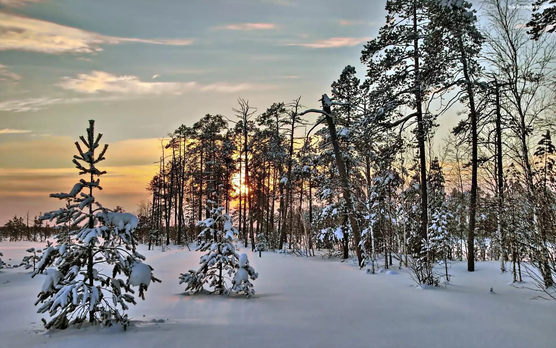 Drzewa, Zima, Śnieg, Zachód Słońca, Las