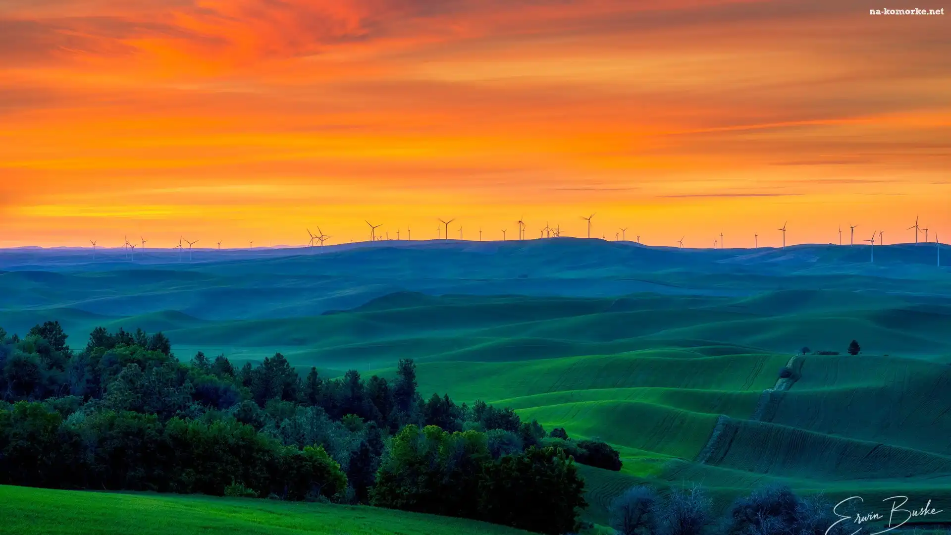 Drzewa, Wzgórza, Zachód słońca, Łąki, Stany Zjednoczone, Wiatraki, Stan Waszyngton, Pola, Region Palouse