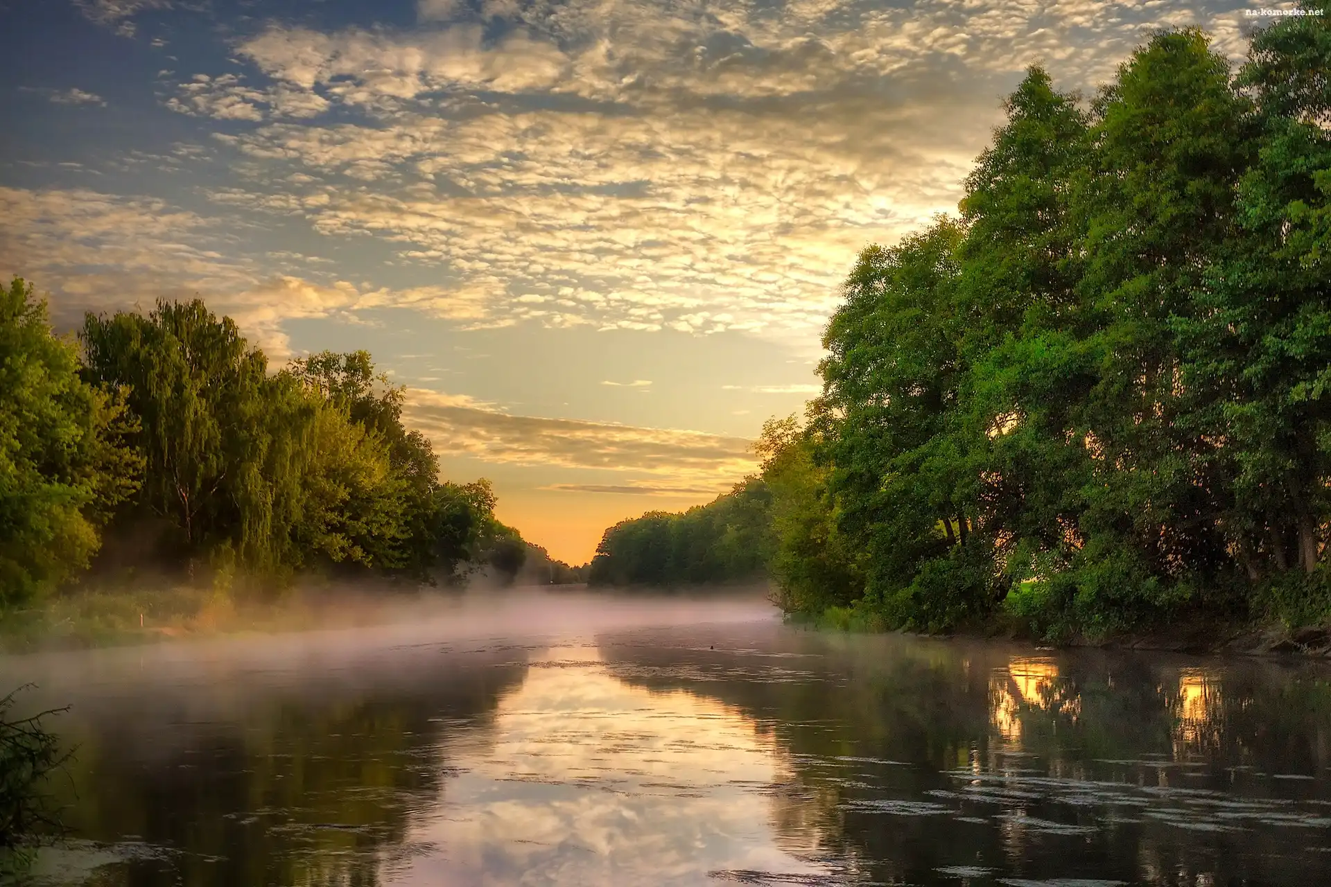 Drzewa, Rzeka, Zachód, Słońca, Mgła