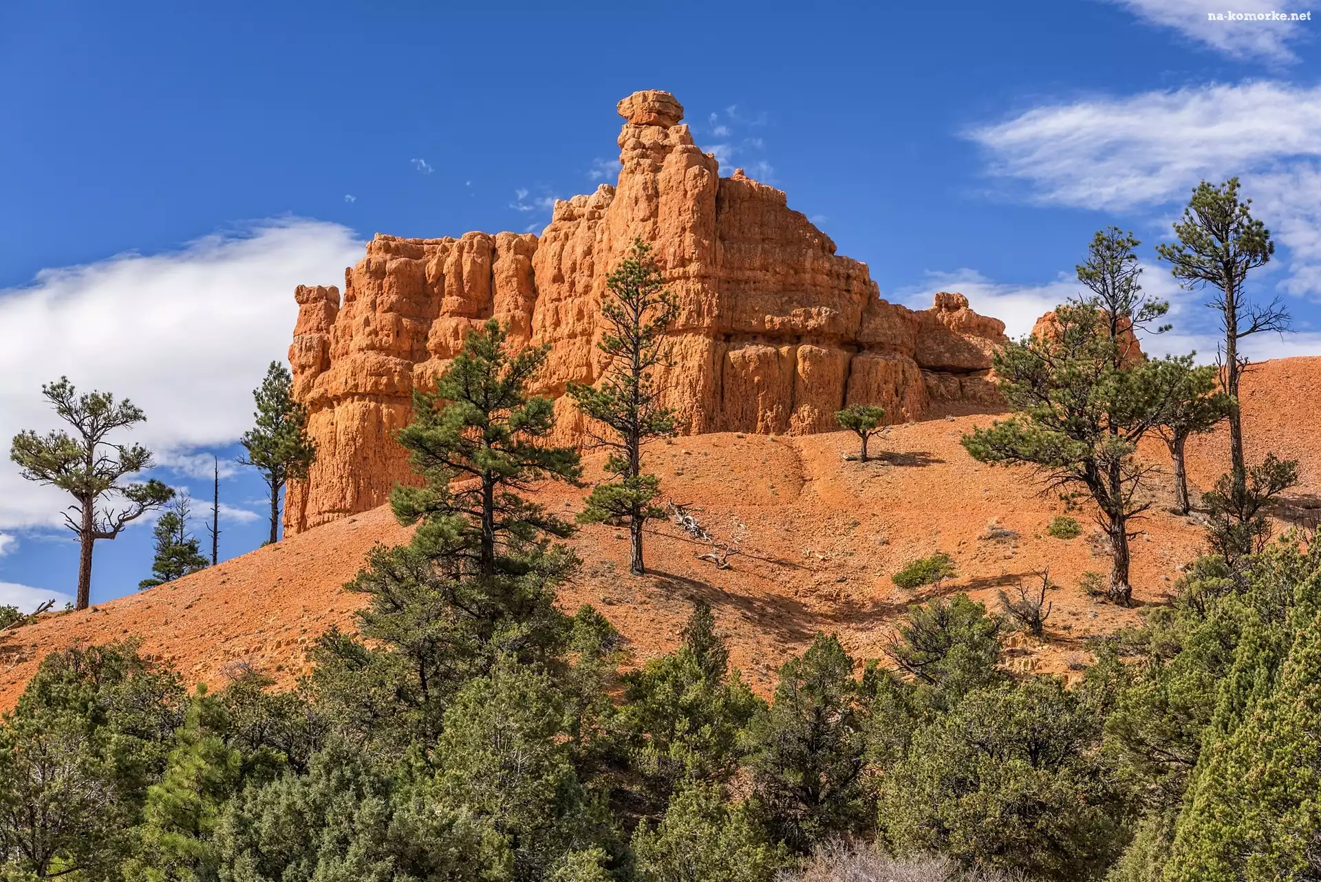 Drzewa, Park Narodowy Bryce Canyon, Stan Utah, Skały, Stany Zjednoczone