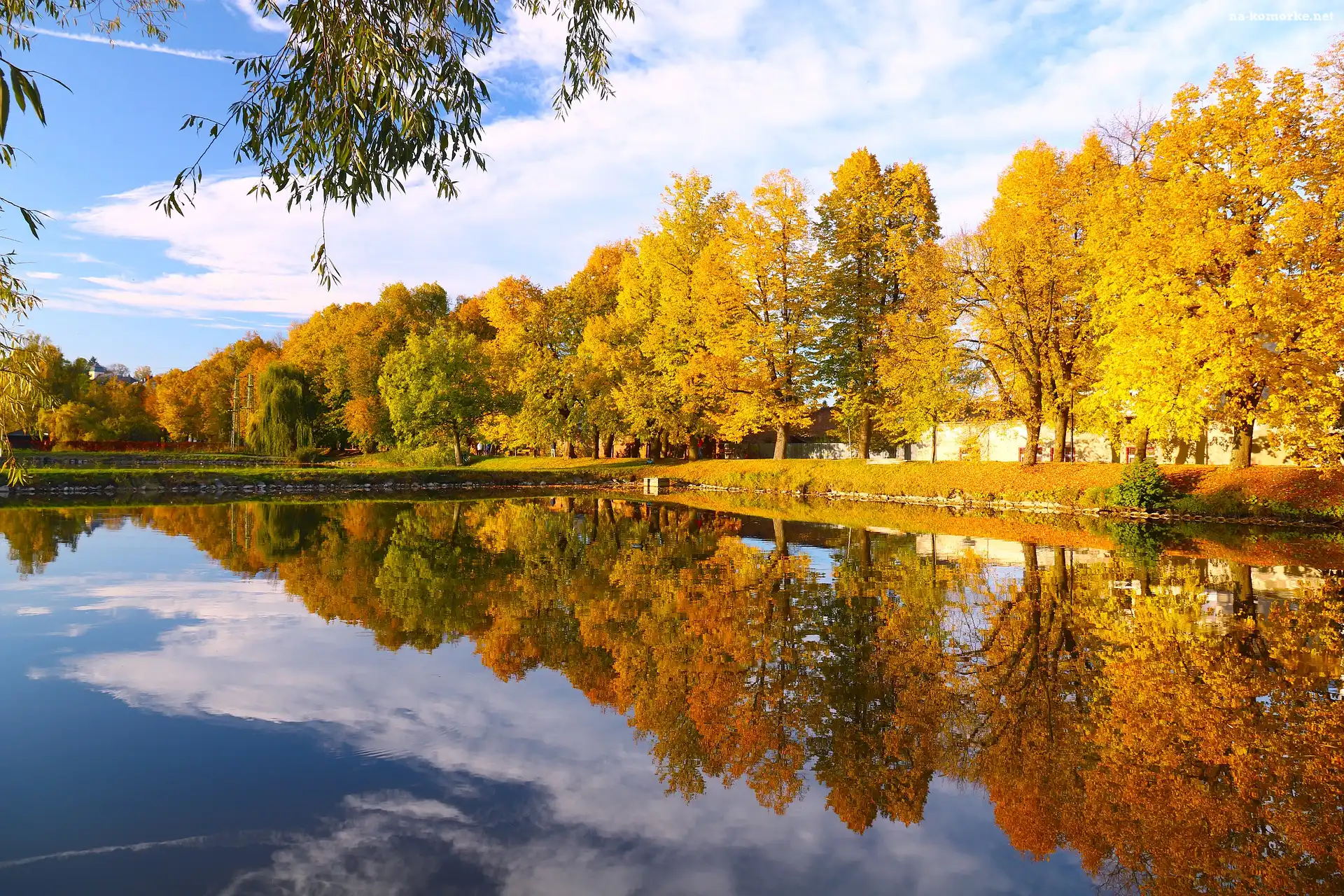Drzewa, Park, Jesień, Staw, Odbicie