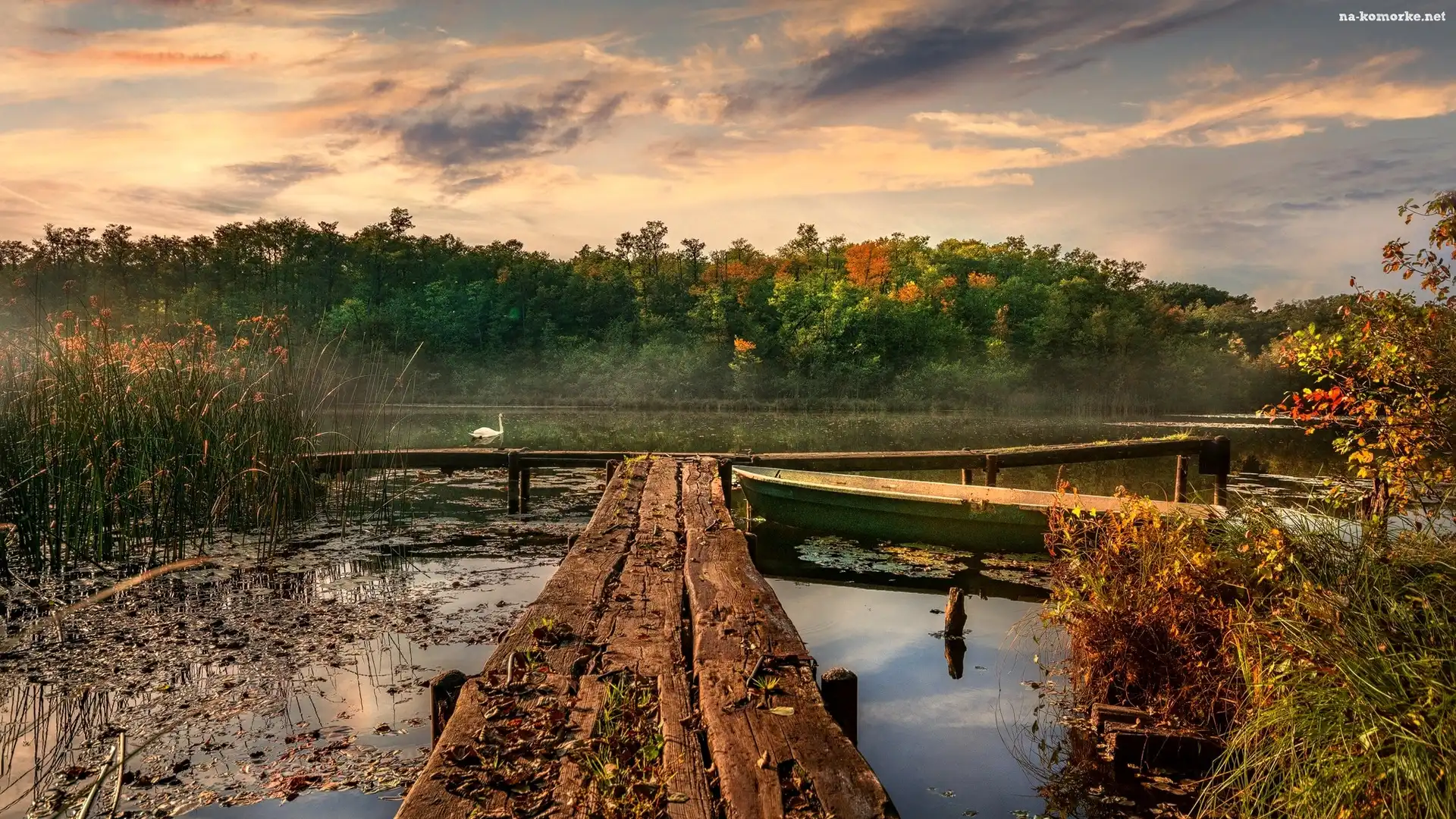 Drzewa, Jezioro, Jesień, Łabędź, Szuwary, Pomosty