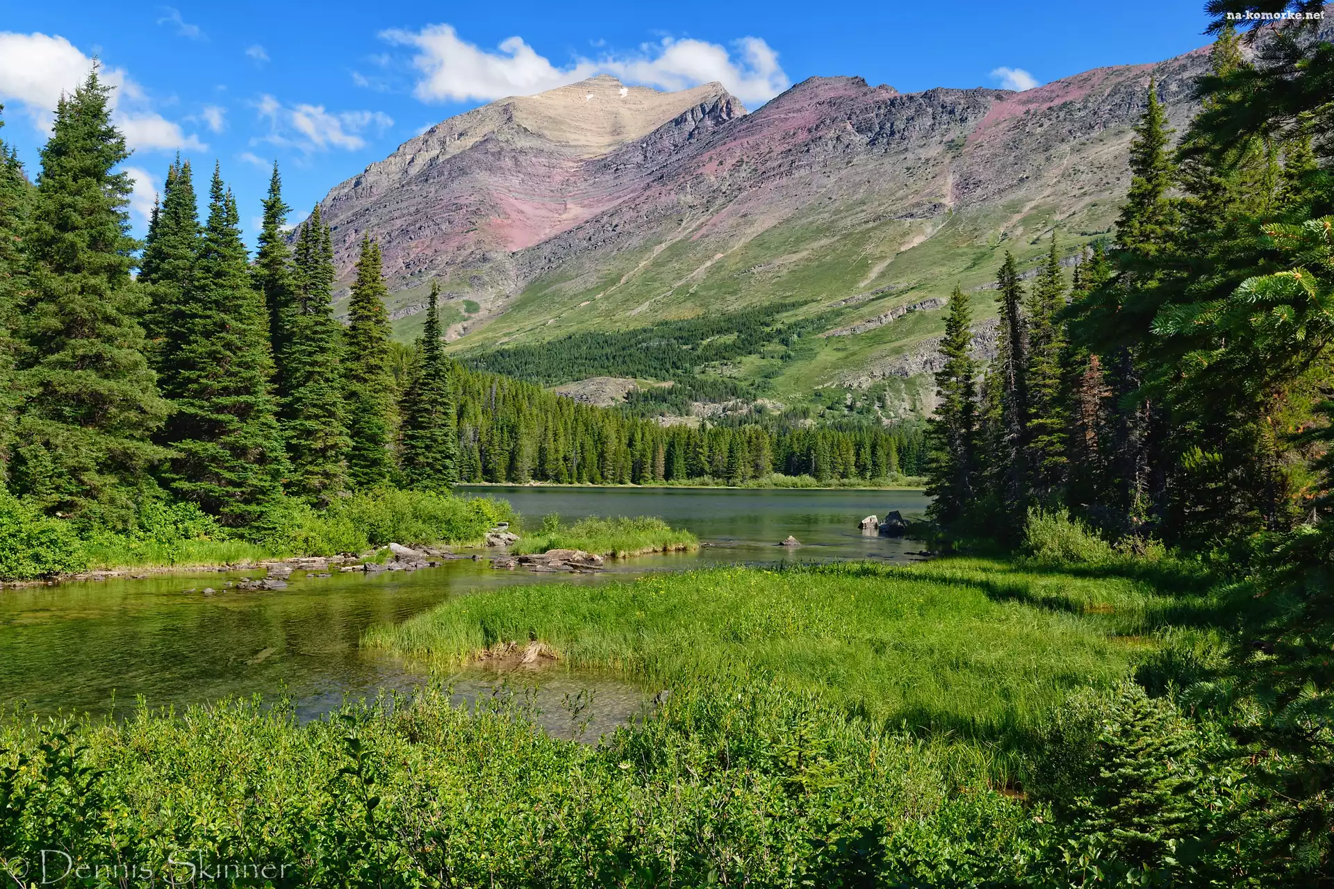 Park Narodowy Glacier, Drzewa, Jezioro, Stany Zjednoczone, Swiftcurrent Lake, Trawa, Góry Skaliste, Montana