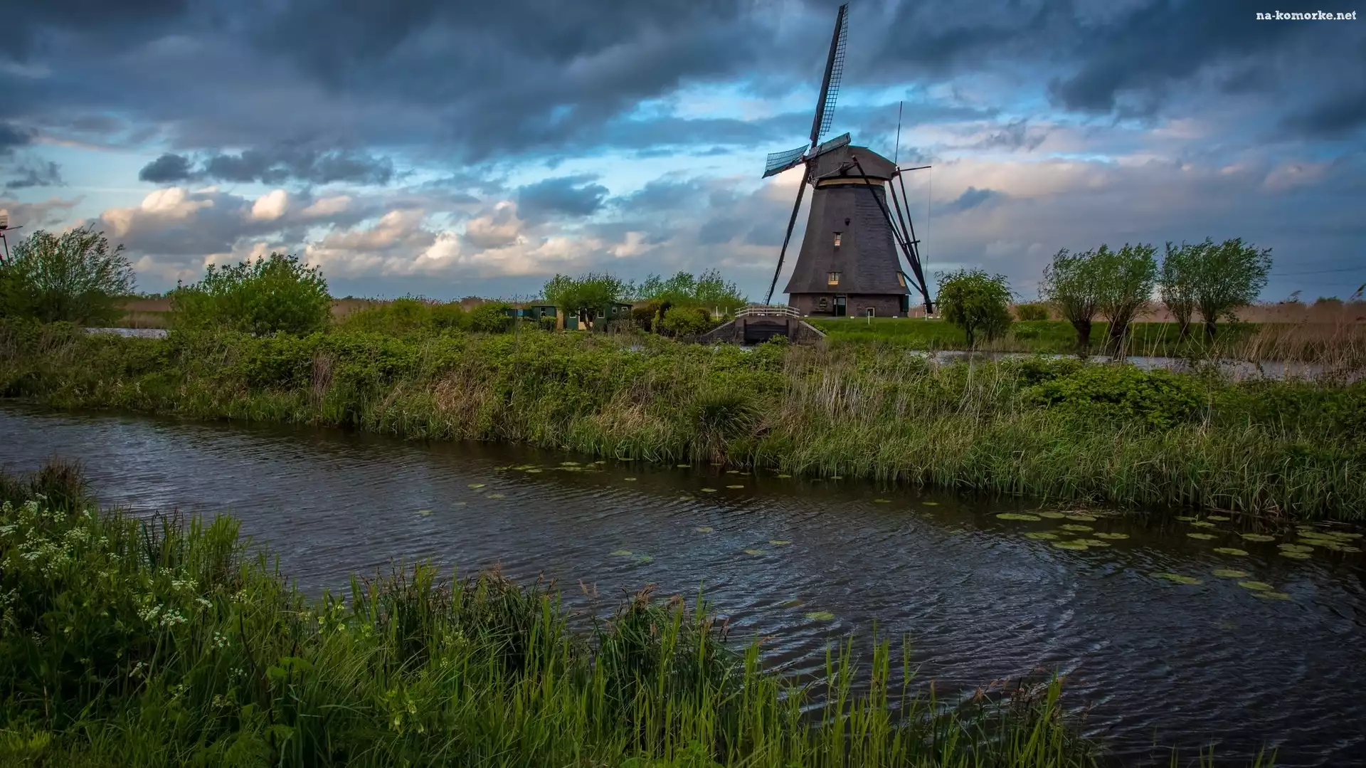 Drzewa, Rzeka, Wiatrak, Holandia, Trawa, Kinderdijk