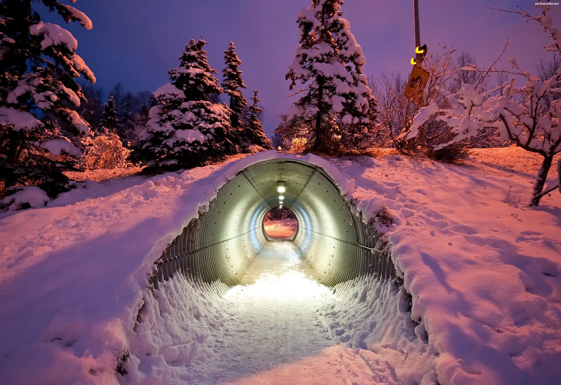 Drzewa, Zmierzch, Tunel, Śnieg