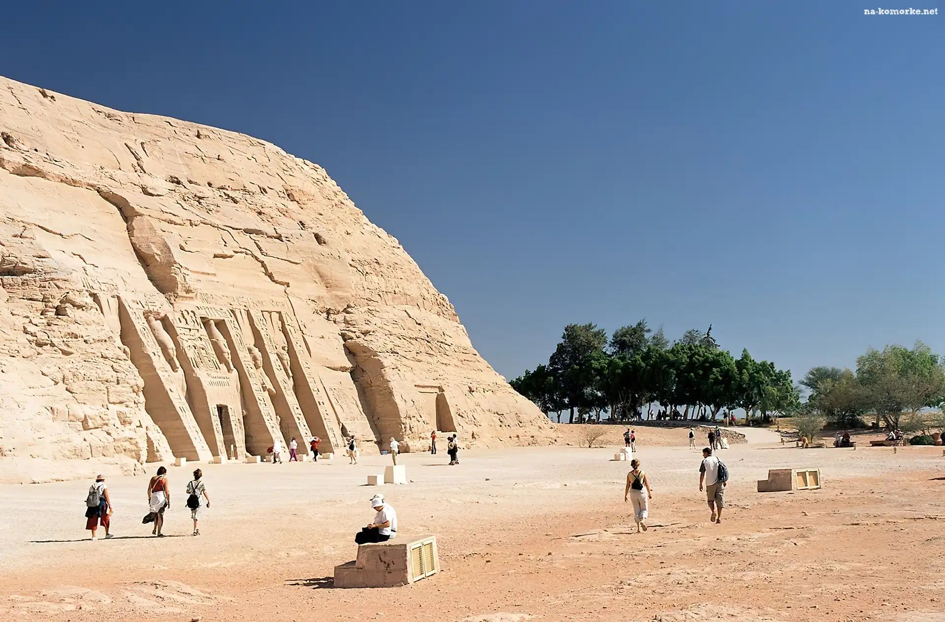 Drzewa, Egipt, Abu Simbel, Świątynia, Ludzie