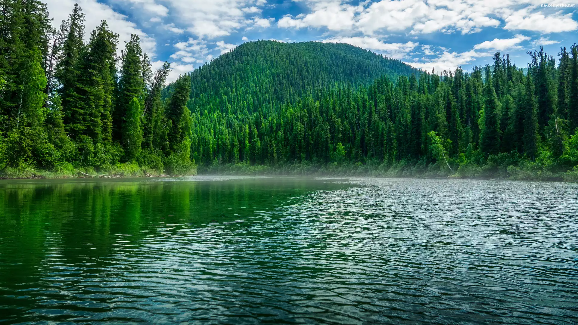 Zalesiona, Góra, Jezioro, Drzewa