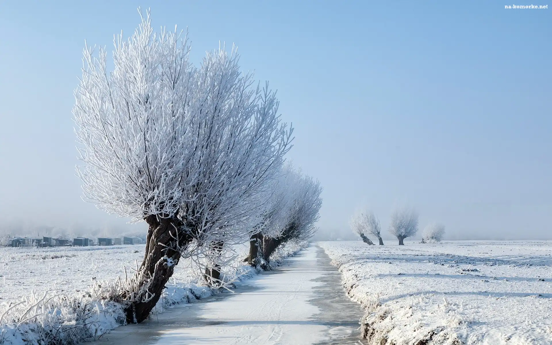 Śnieg, Zamarznięta, Rzeka, Drzewa, Pola