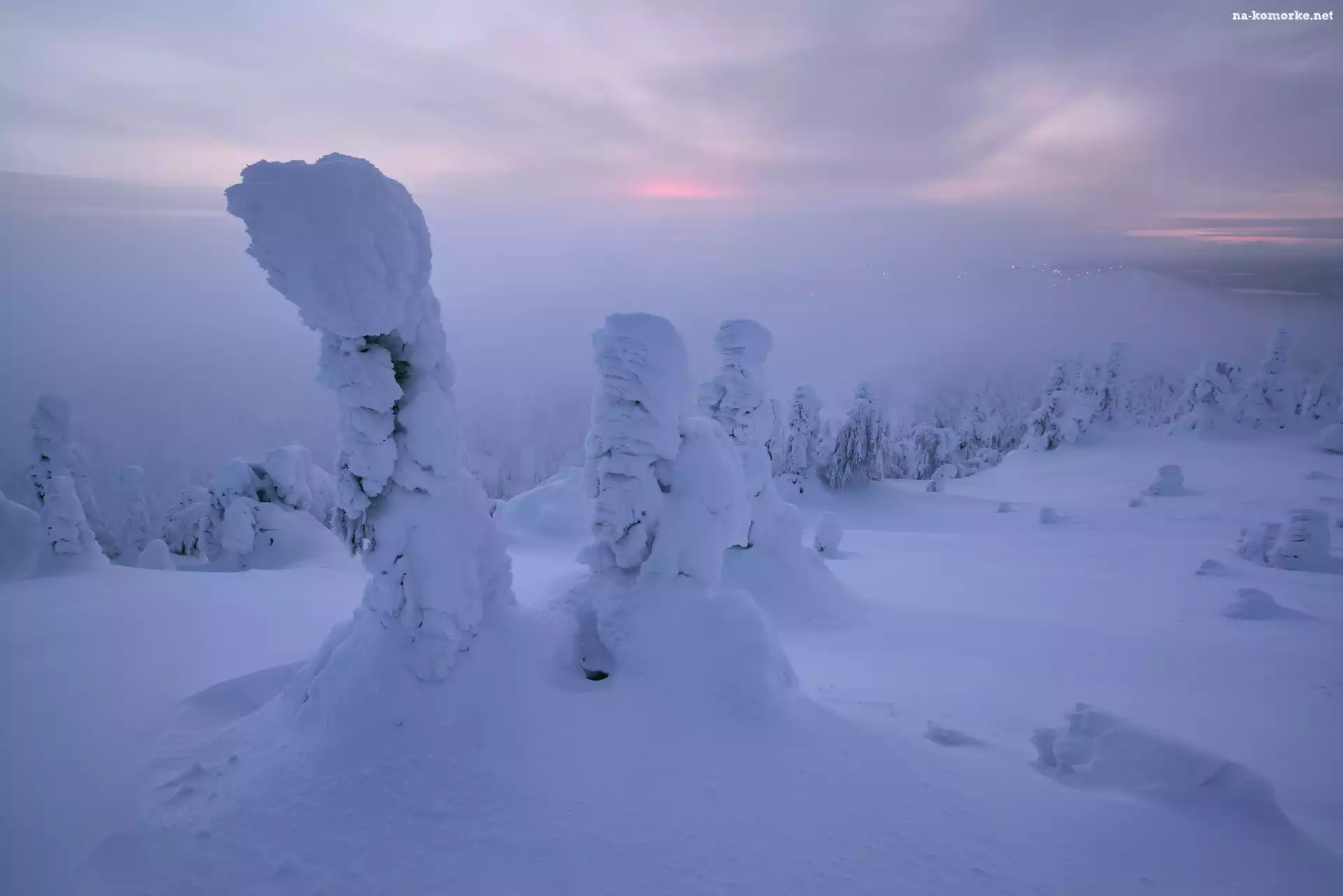 Drzewa, Góry, Zima, Finlandia, Zaśnieżone, Mgła