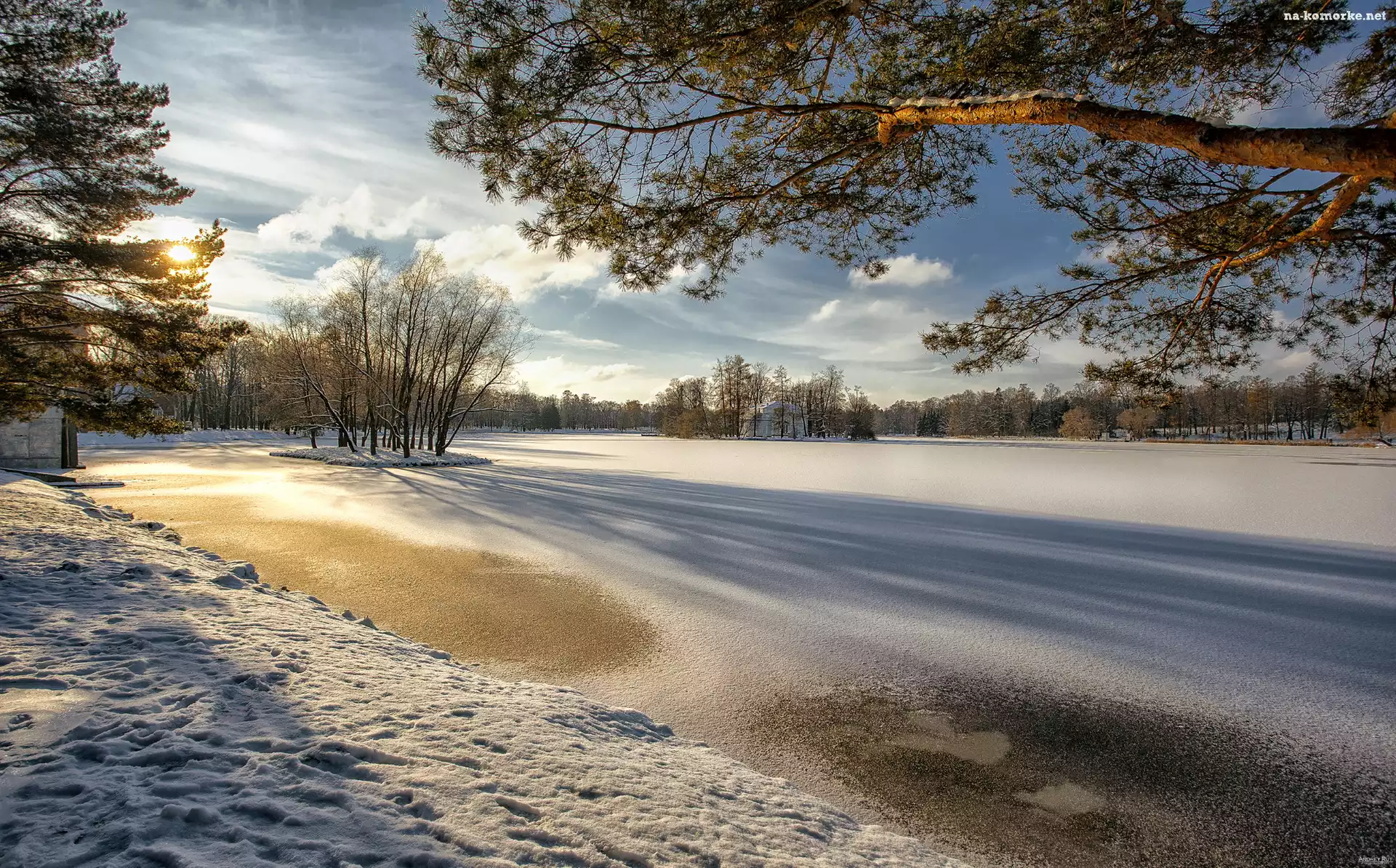 Drzewa, Zima, Park, Zaśnieżony, Staw