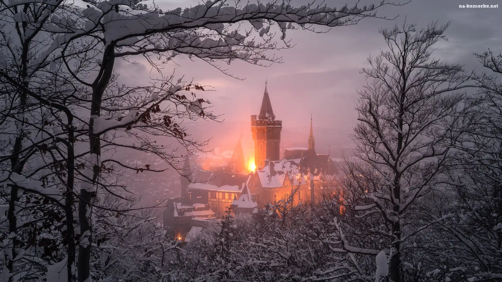 Niemcy, Drzewa, Światła, Saksonia, Wernigerode, Zamek Wernigerode, Zima