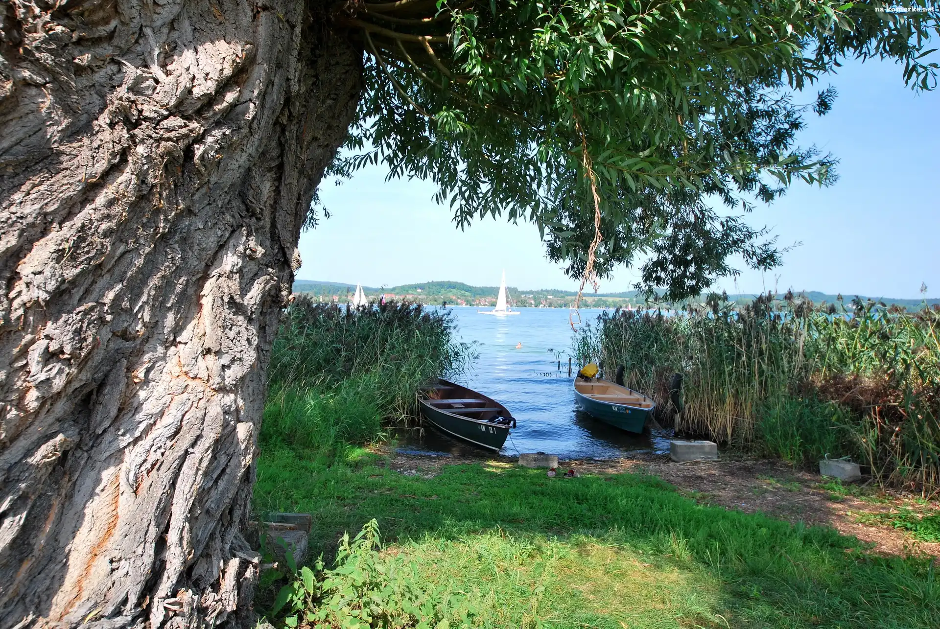 Wierzba, Łódki, Kora, Jezioro