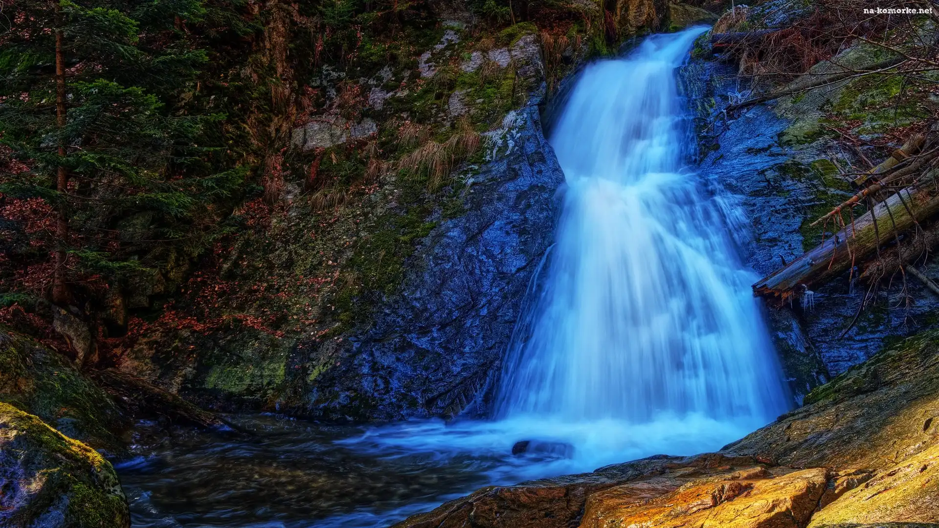 Wodospad, Horni Mesto, Czechy, Resov Falls, Skały, Rośliny, Drzewo
