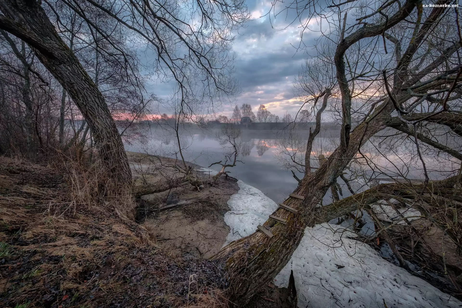 Rzeka Dubna, Łatgalia, Łotwa, Domy, Mgła, Bezlistne, Drzewa