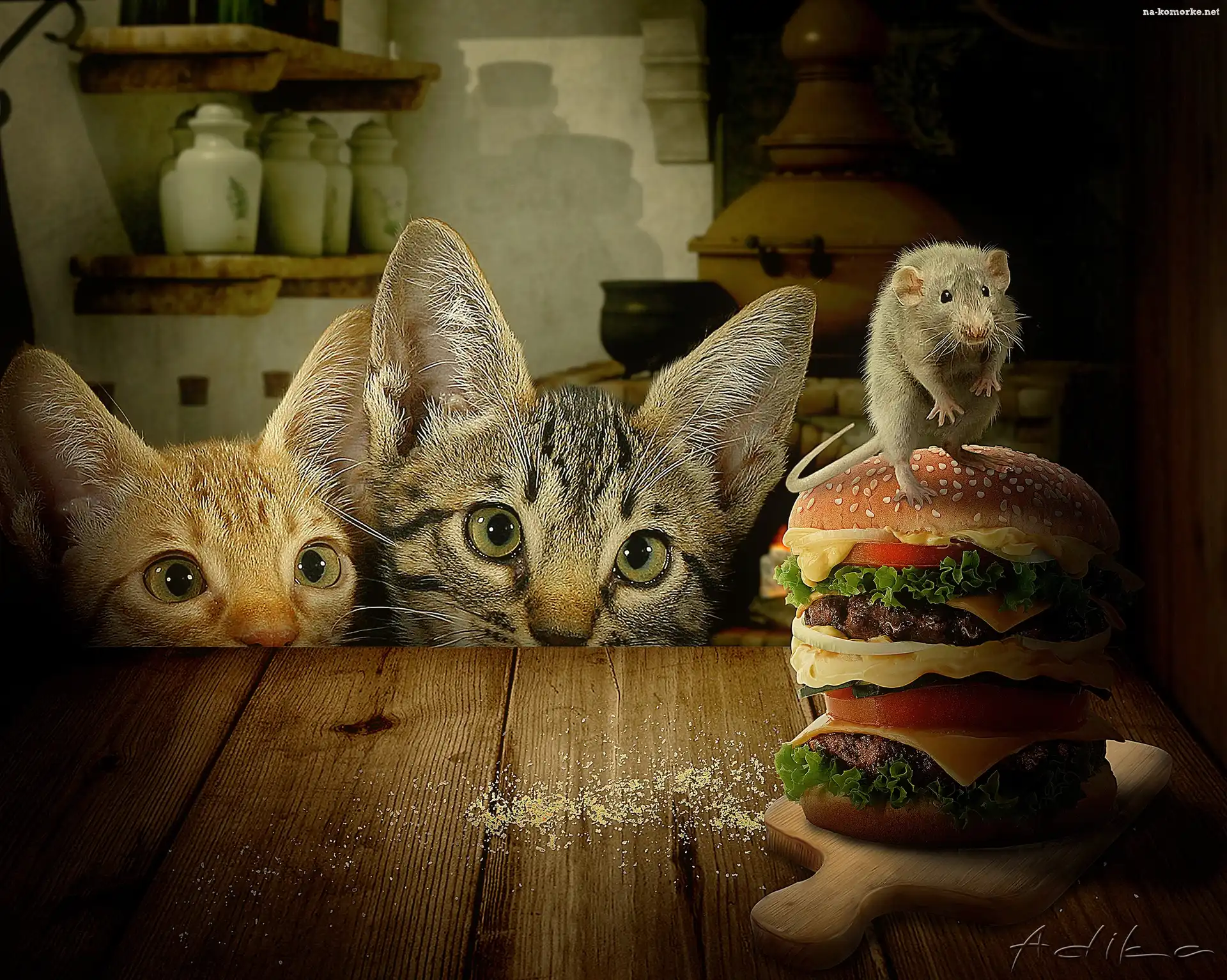 Dwa, Hamburgery, Koty, Szczurek