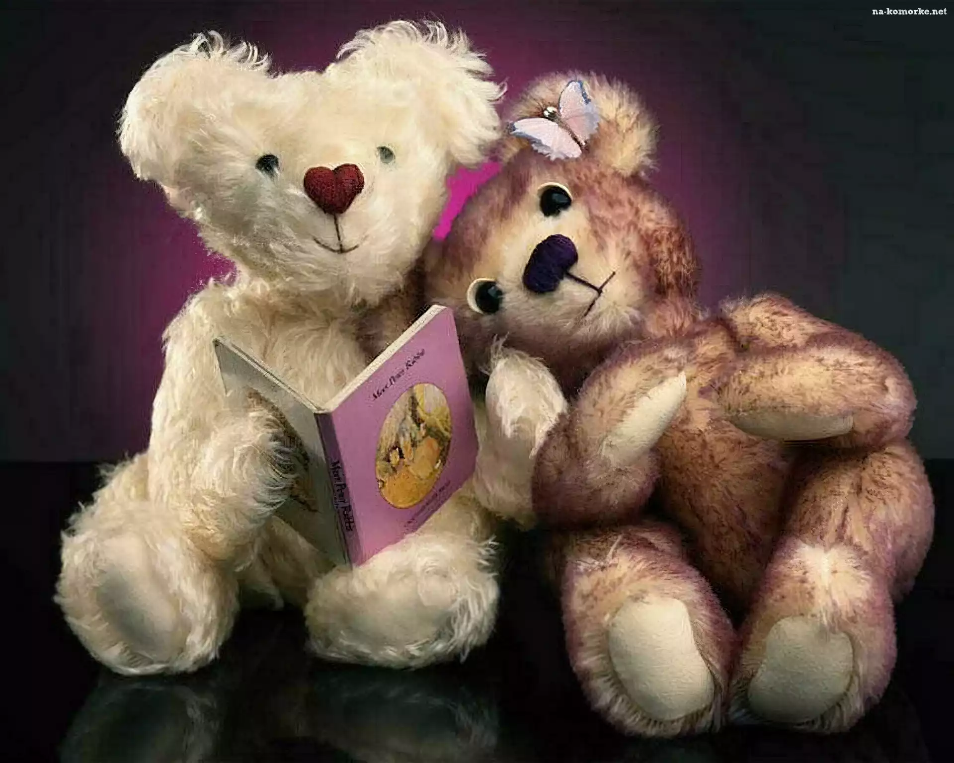 Dwa, Książka, Przytulone, Misie