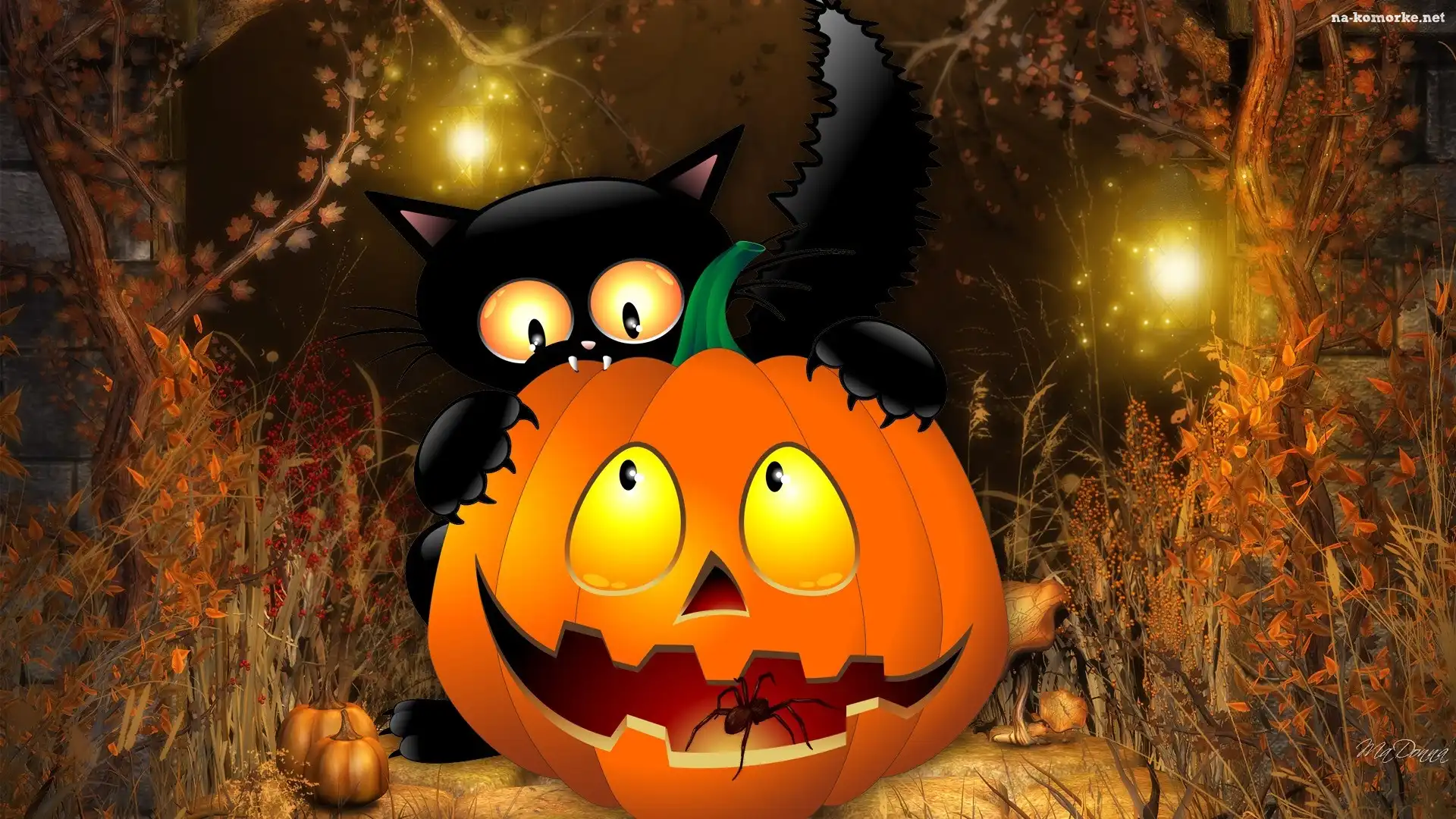 Dynia, Halloween, PajÄ…k, Kot