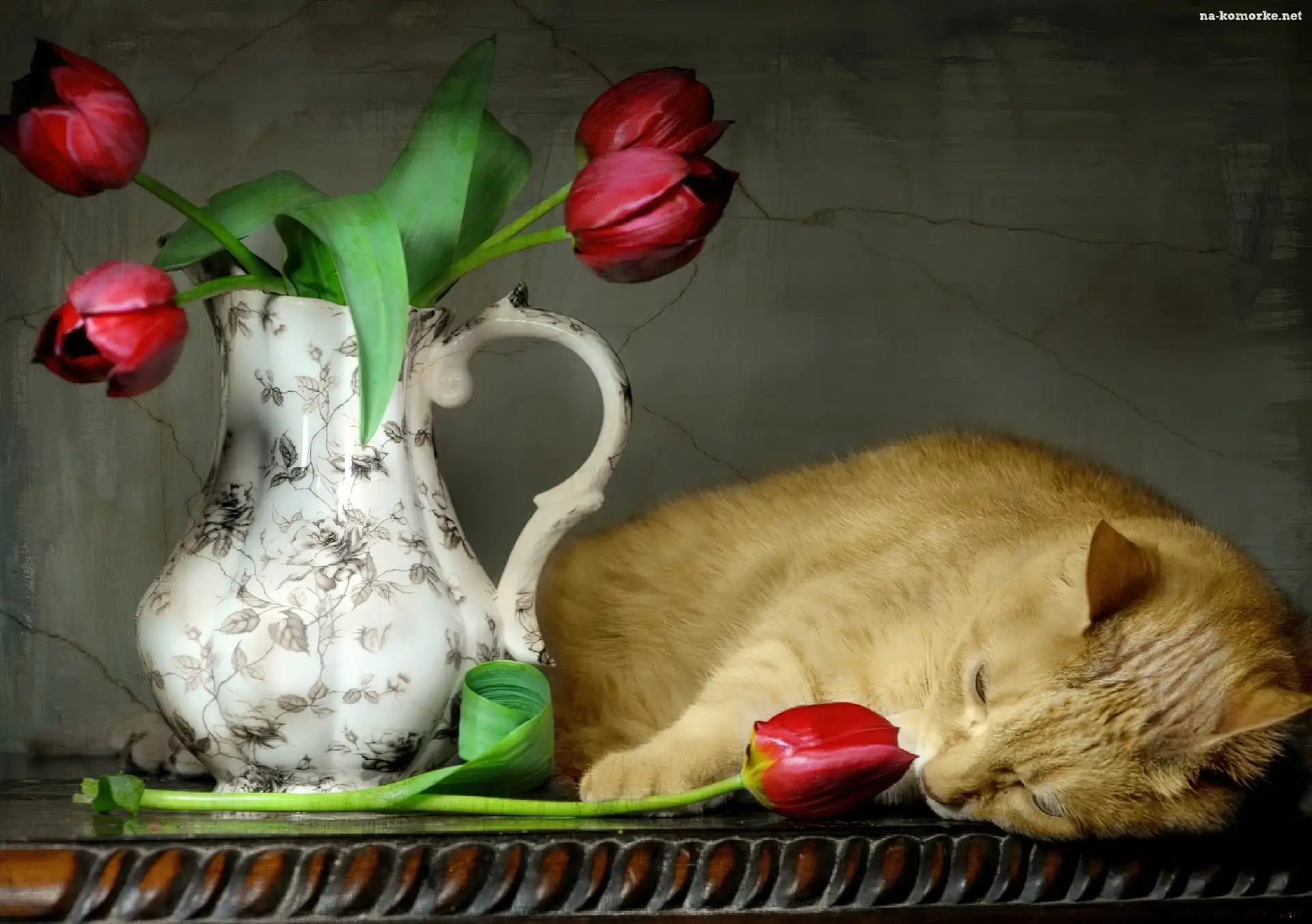 Kot, Dzban, Tulipany