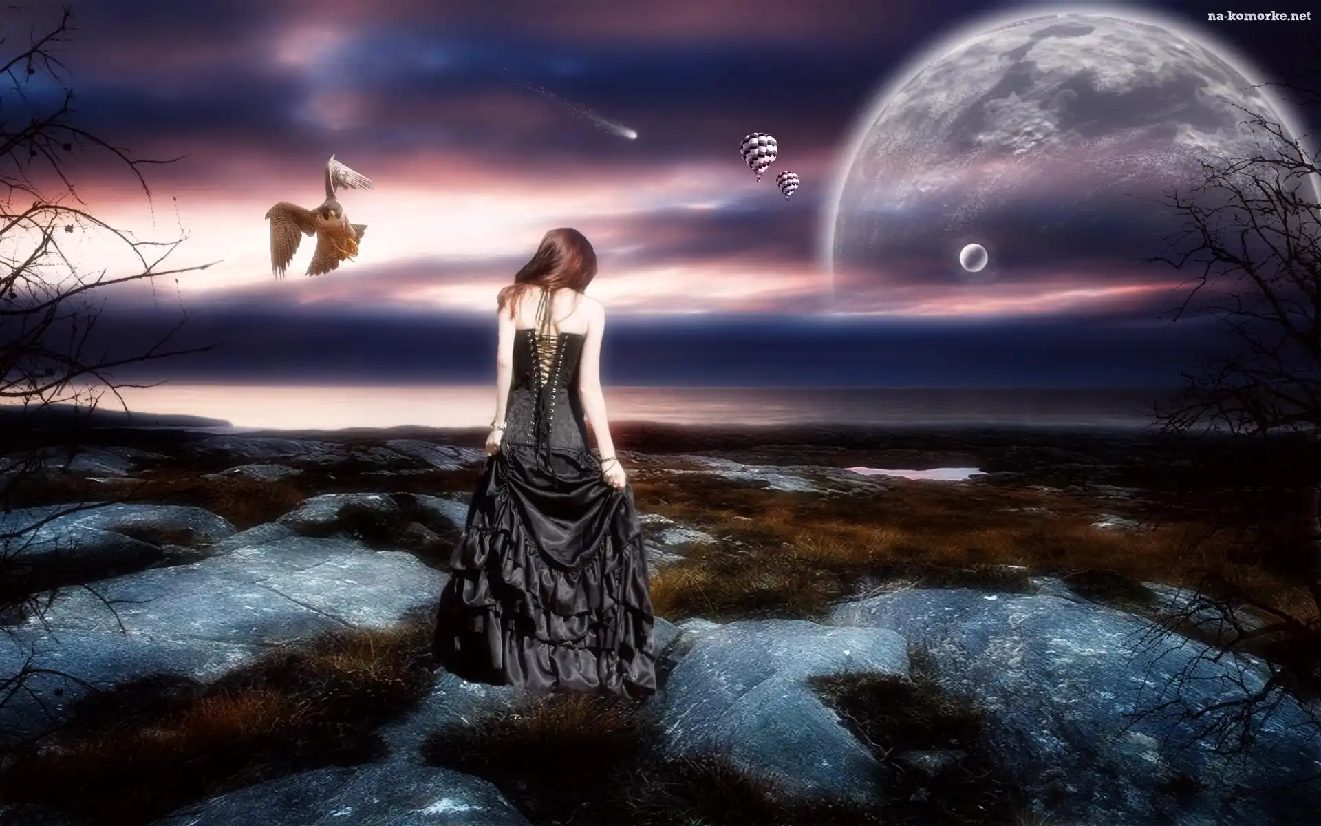 Dziewczyna, Fantasy, Sowa, Księżyc