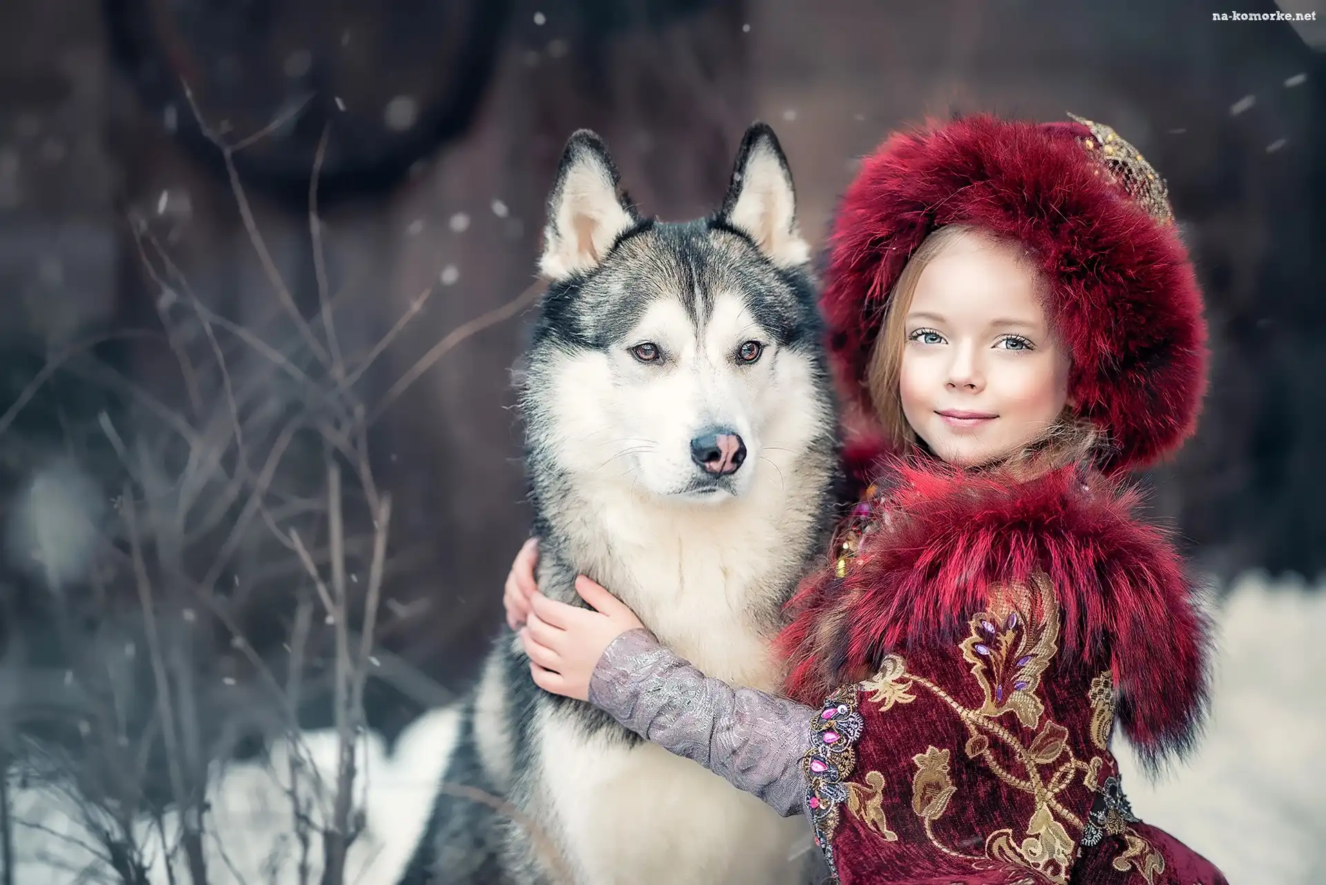 Dziewczynka, Pies, Siberian husky