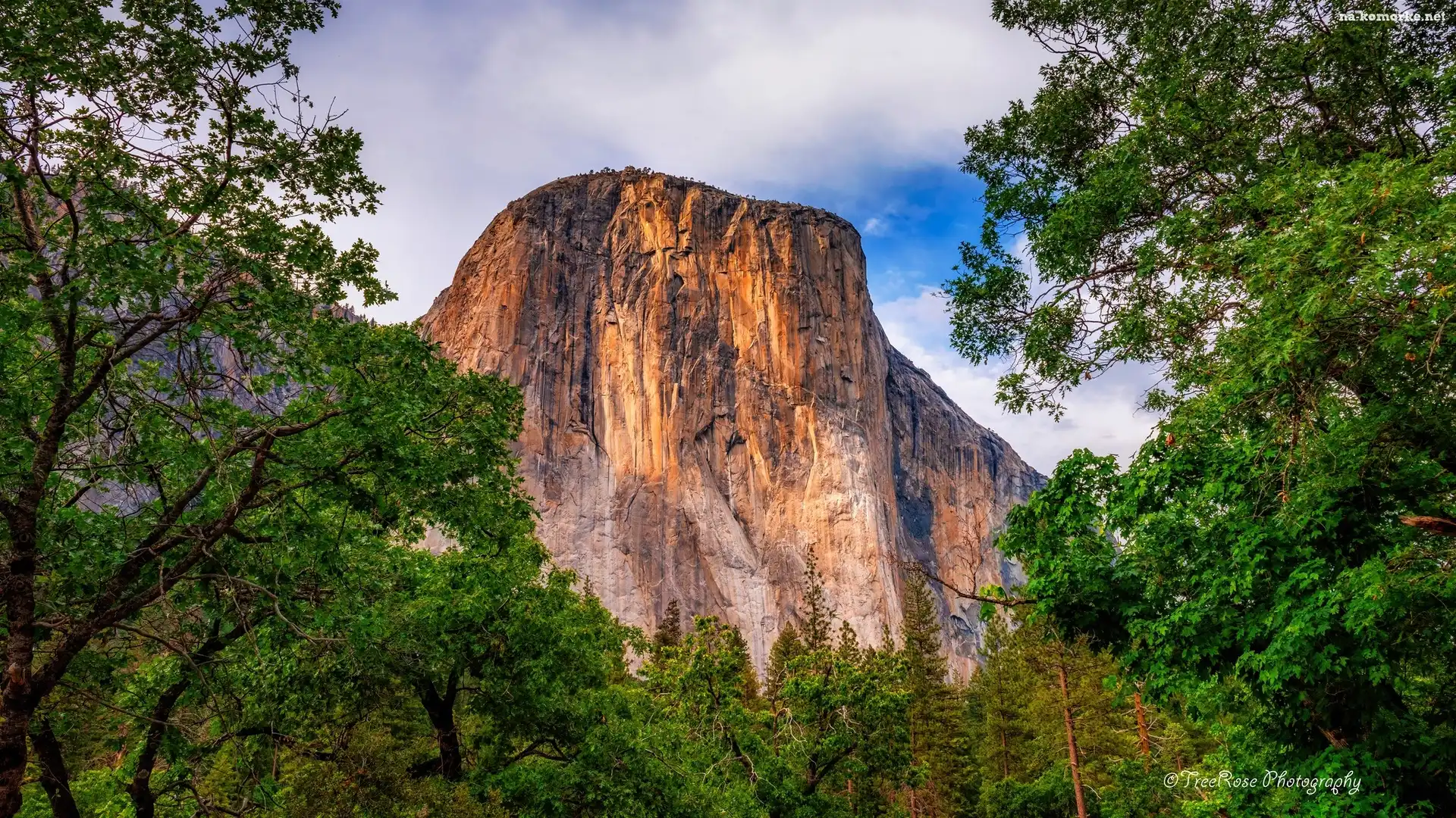 El Capitan, Stany Zjednoczone, Góra, Drzewa, Park Narodowy Yosemite, Kalifornia