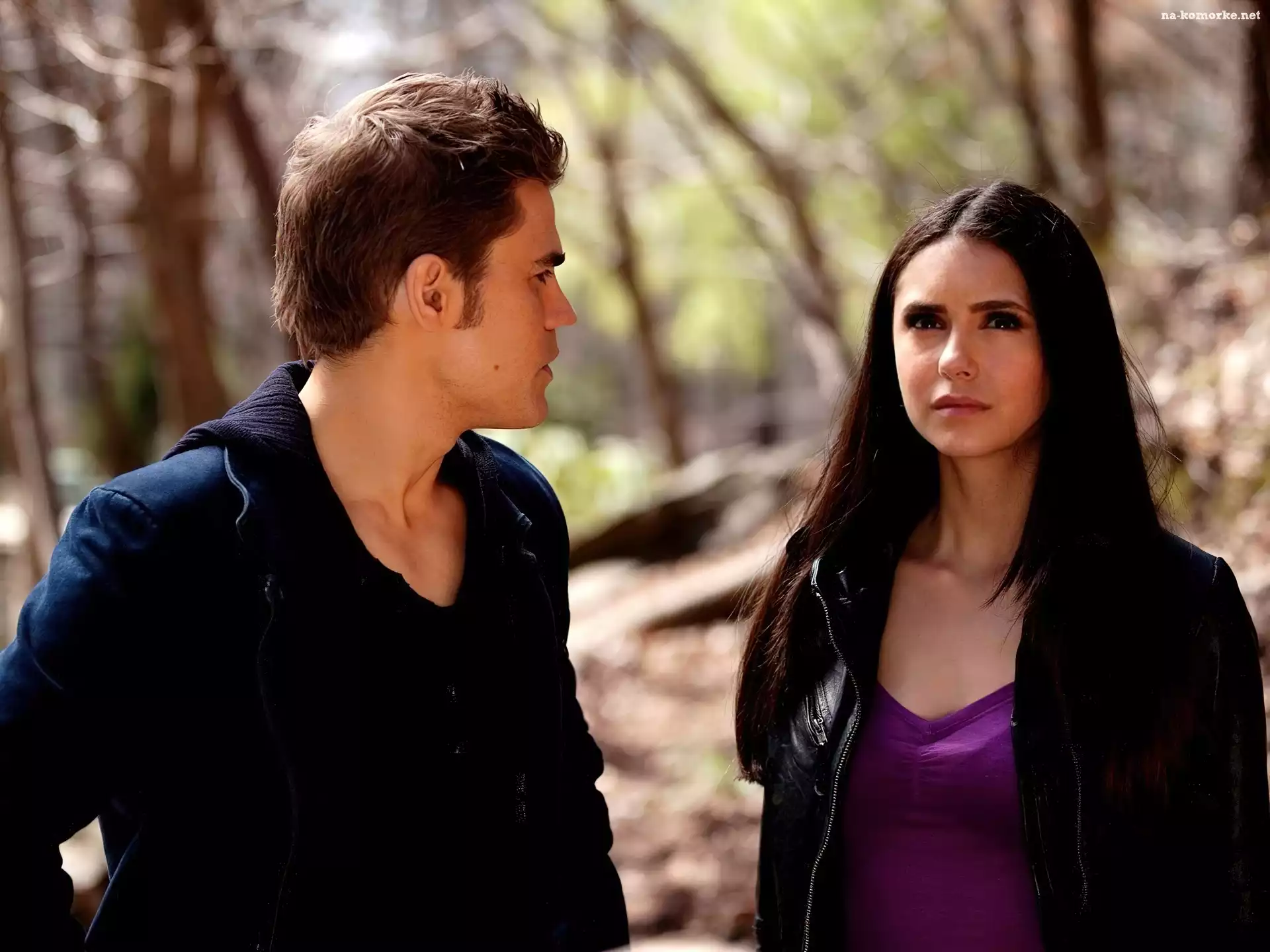 Pamiętniki wampirów, Paul Wesley, Vampire Diaries, Nina Dobrev